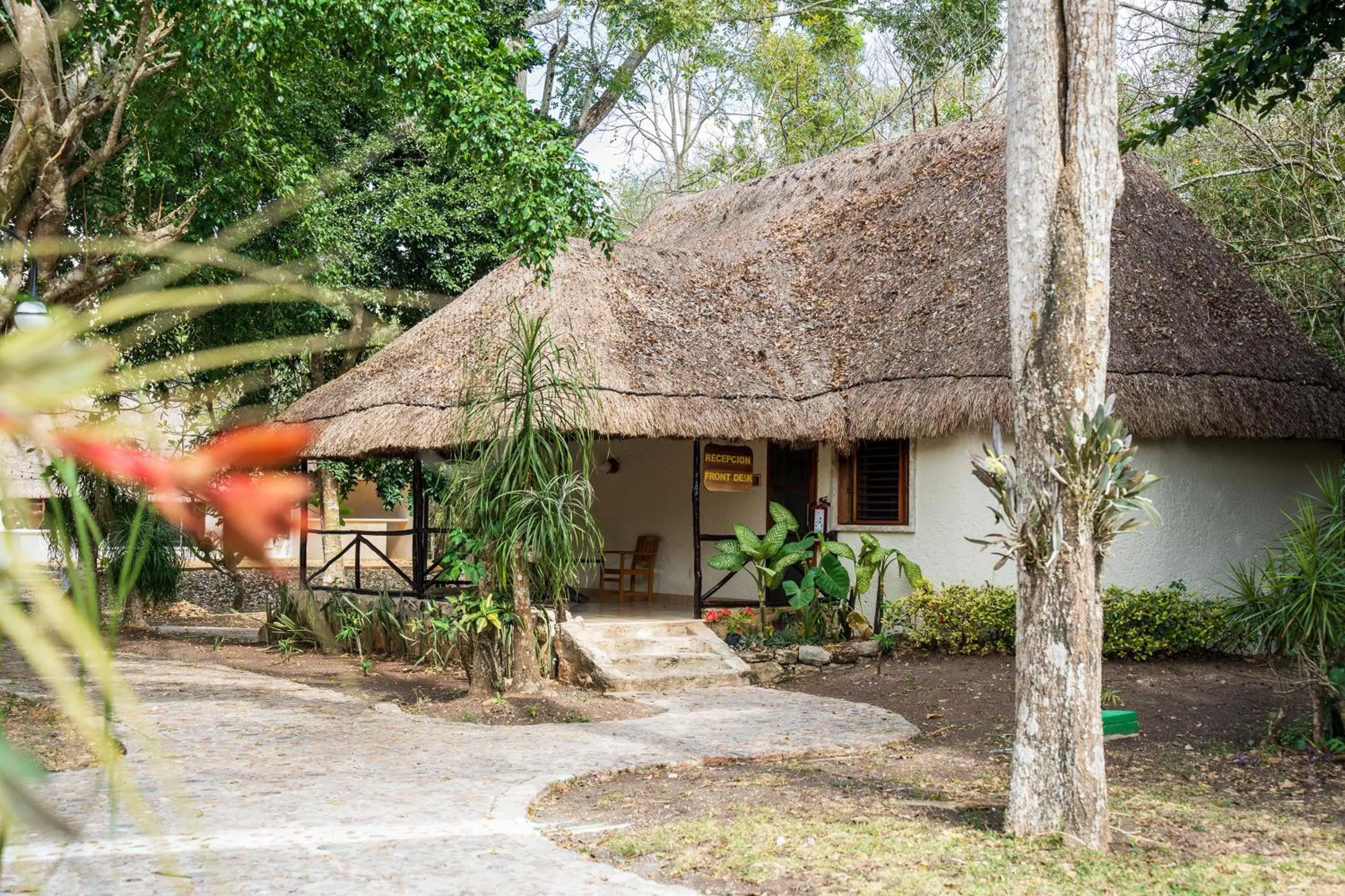 Property building in hotel villas chicanna