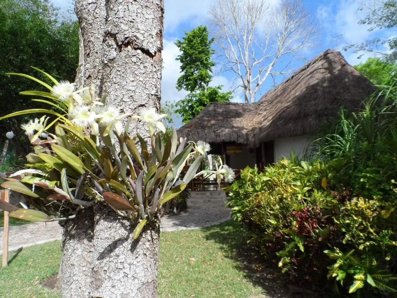 Natural landscape in hotel villas chicanna