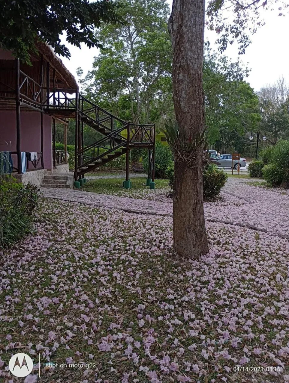 Property building in hotel villas chicanna