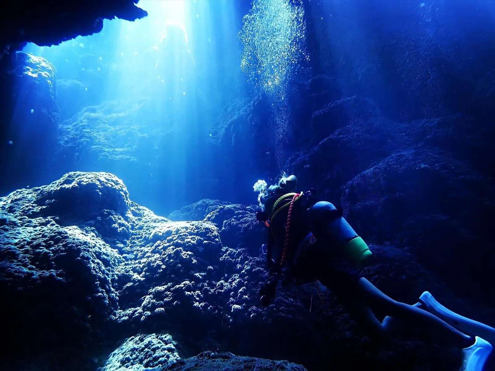 Diving in Cottage Do