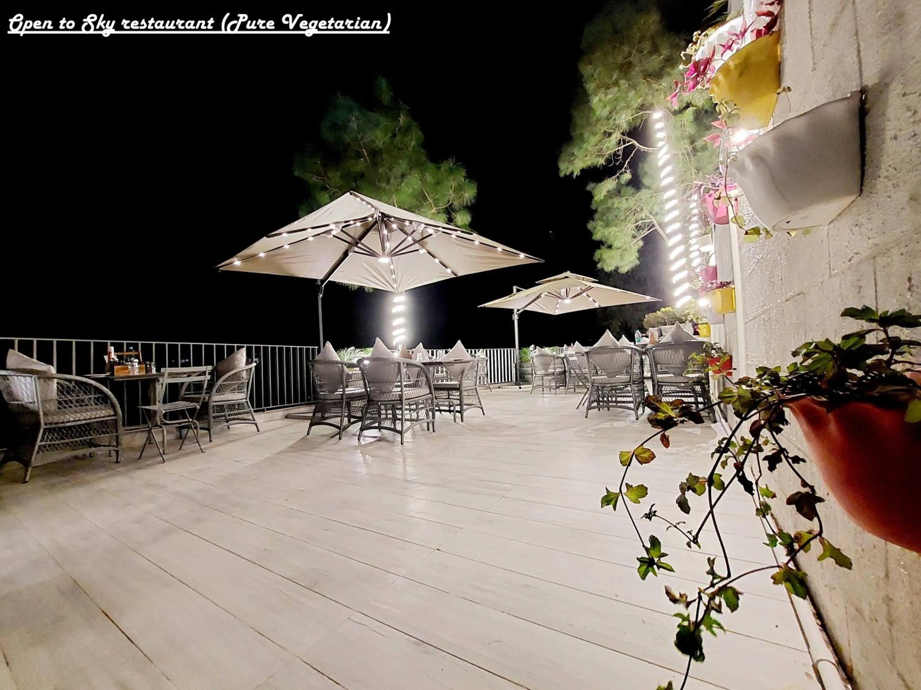 Restaurant/places to eat in OREN Kasauli