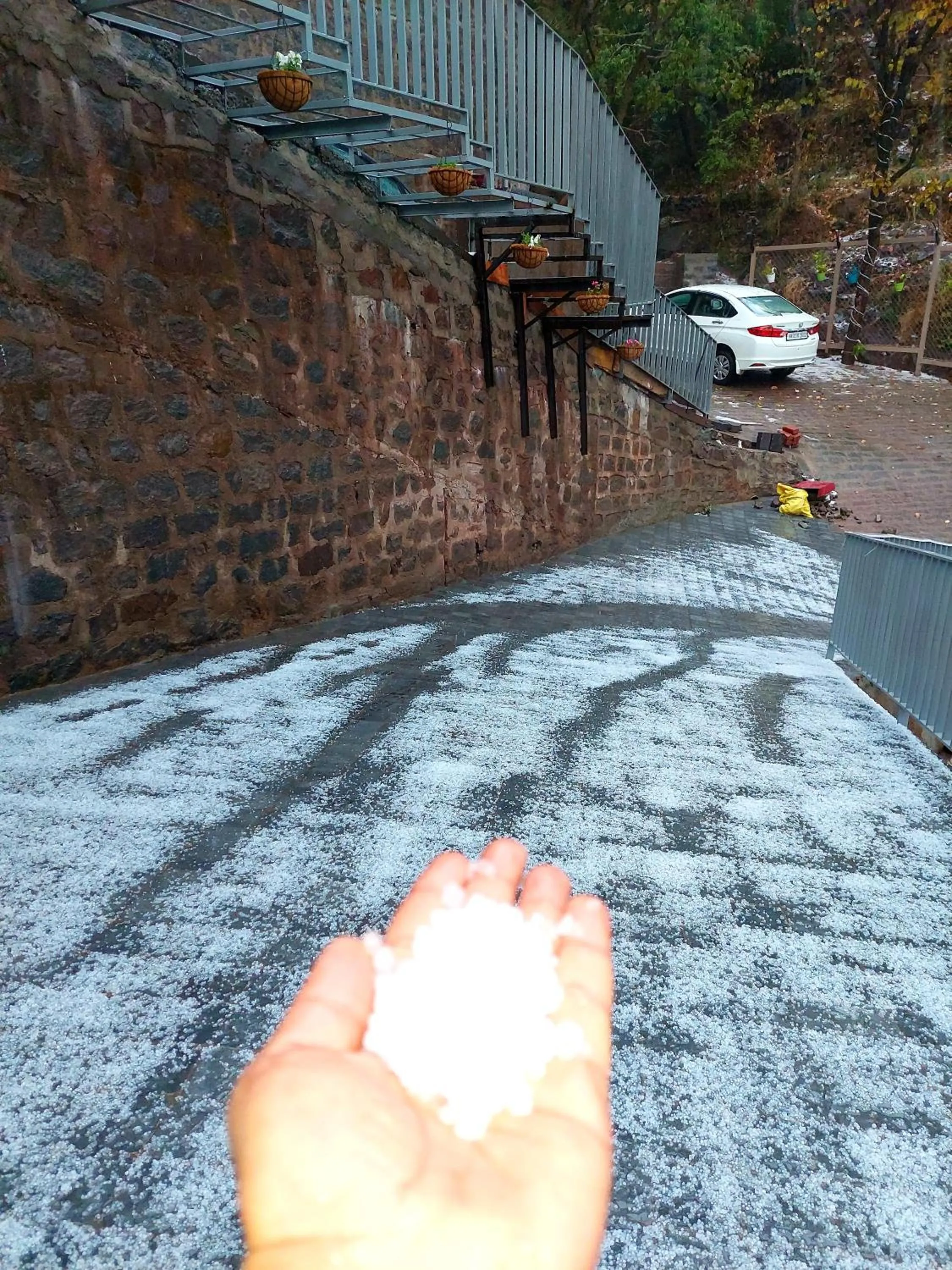 View (from property/room) in OREN Kasauli