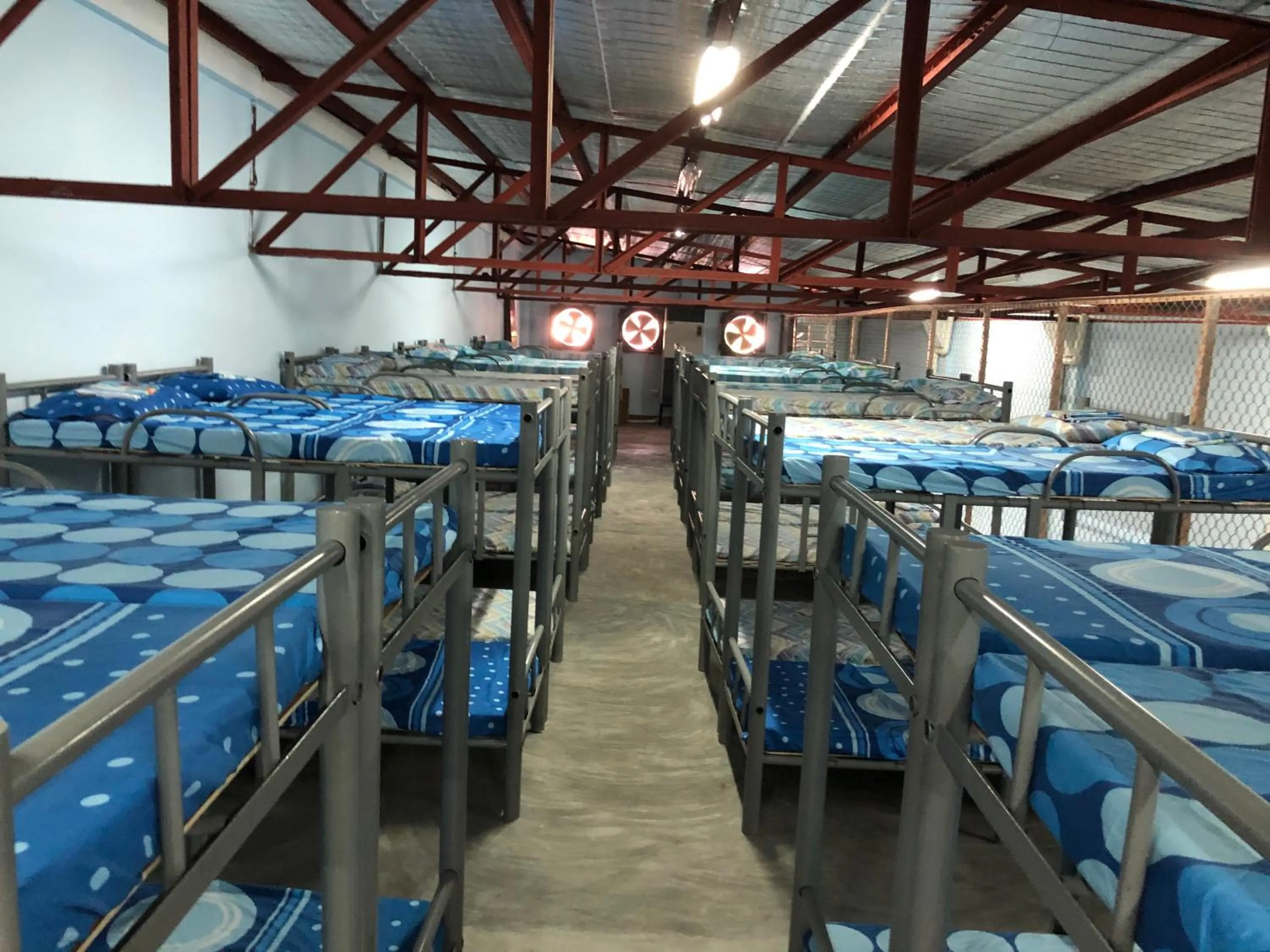 Photo of the whole room, Bed in Mang Ben Dormitory Kaliraya
