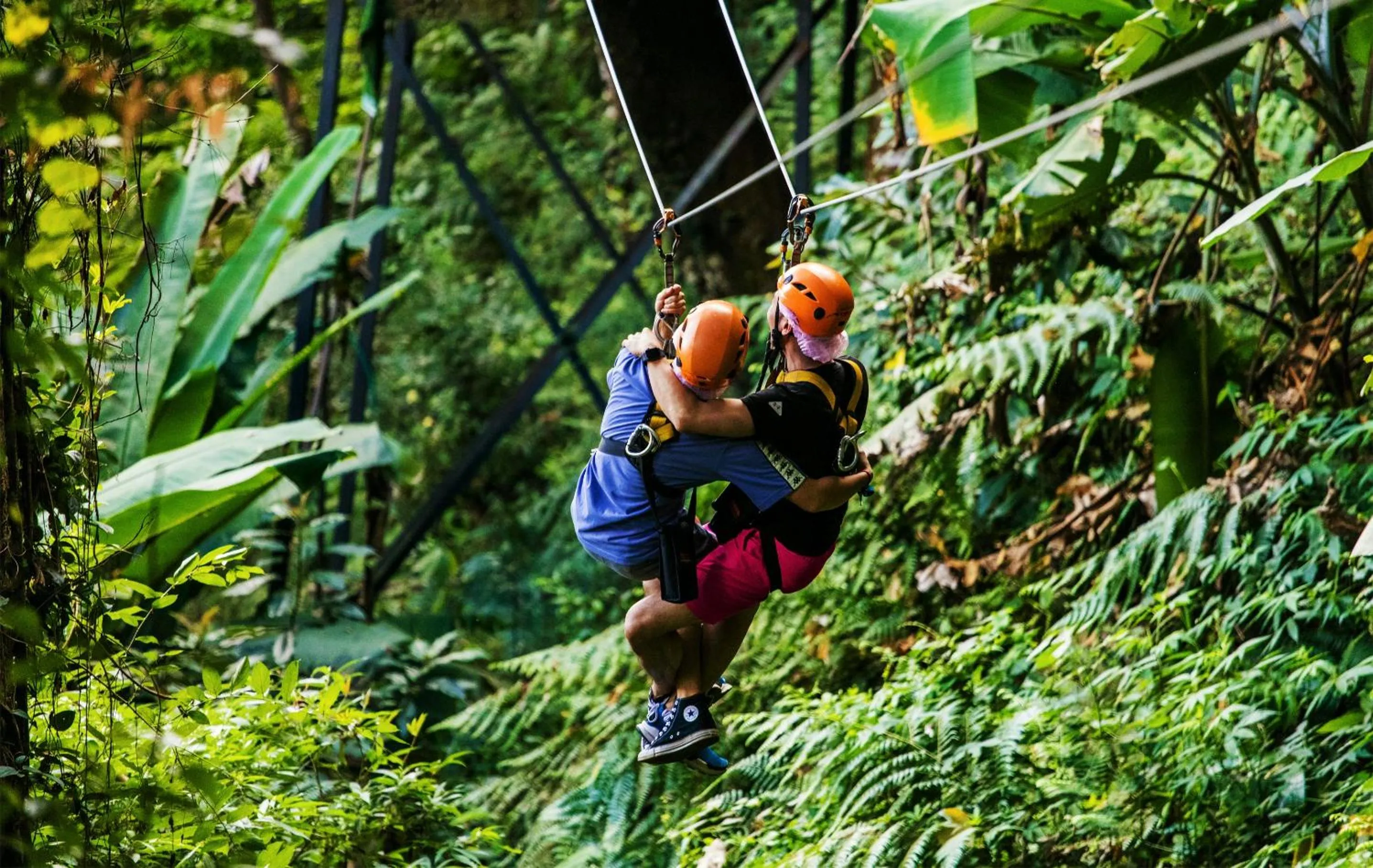 City view in 花语岸·度假酒店(H·Flora Hotel)