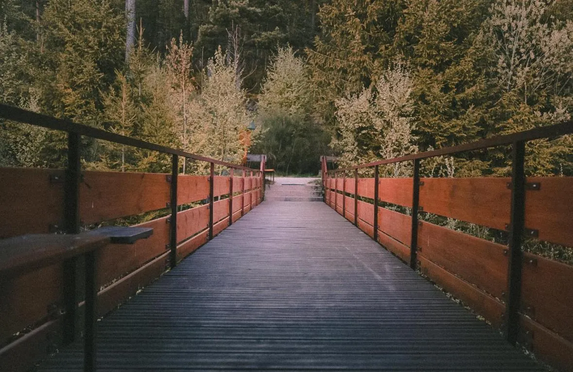 Hiking in Wellnesshotel Sonnenhalde Tonbach