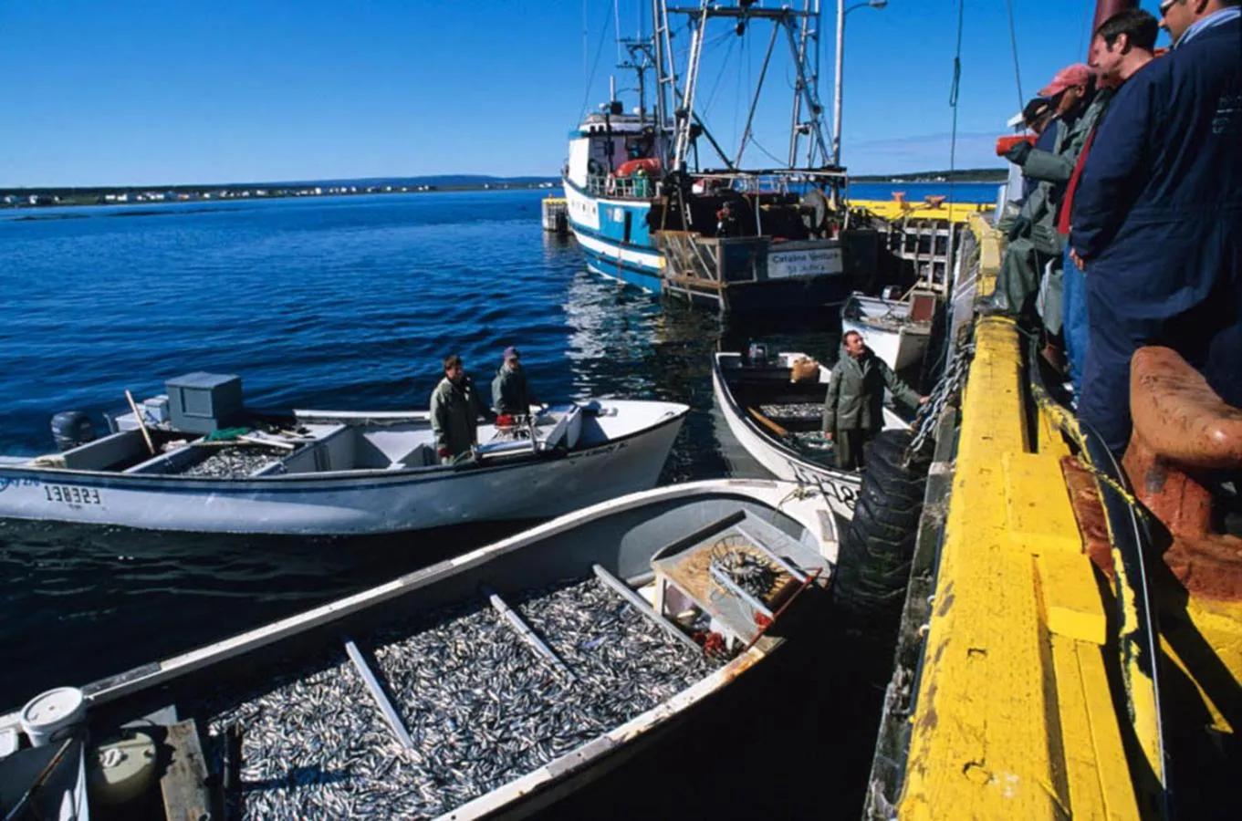 Neighbourhood in Burnt Cape Cabins