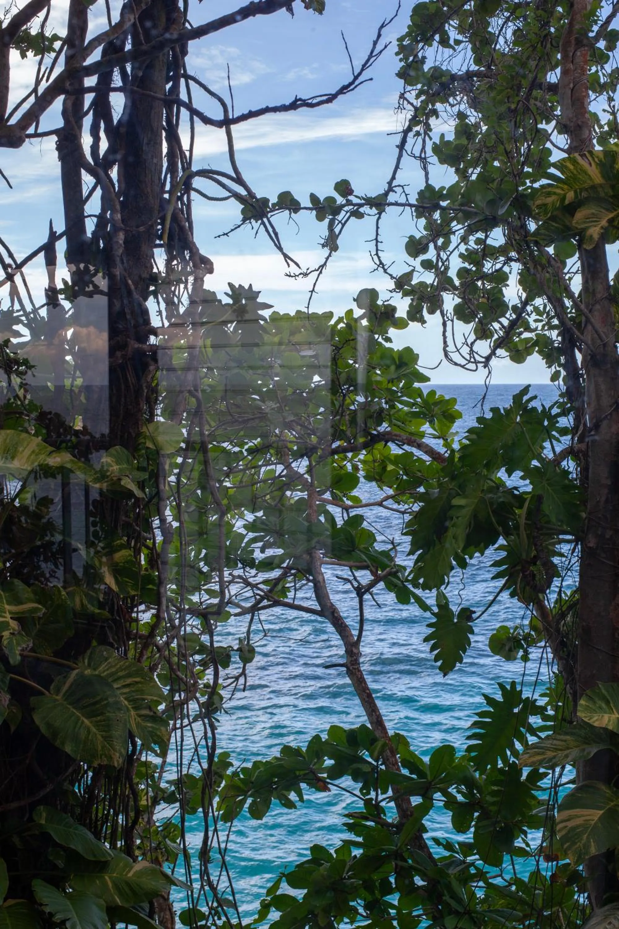 Frenchman's Cove Resort