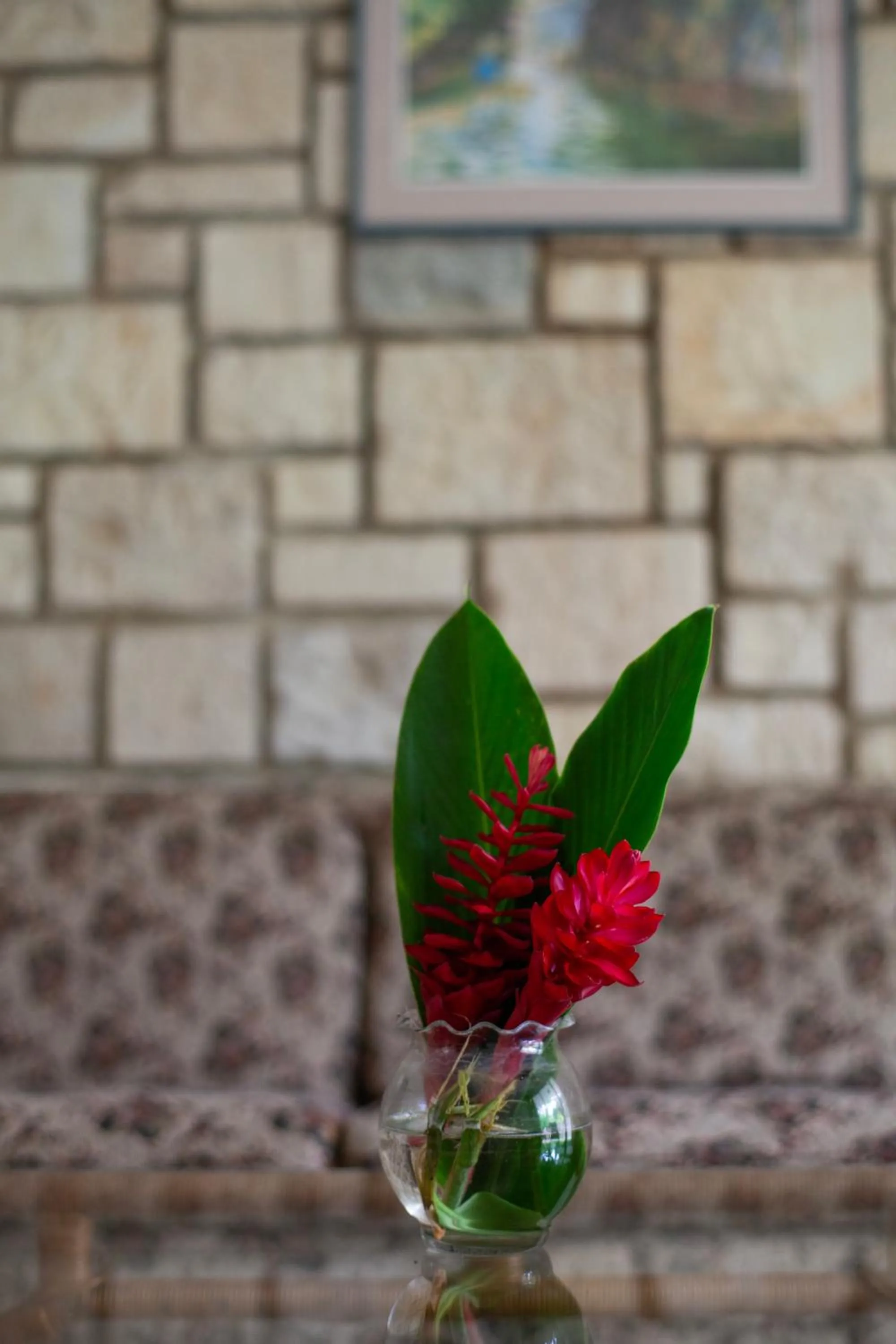 Frenchman's Cove Resort