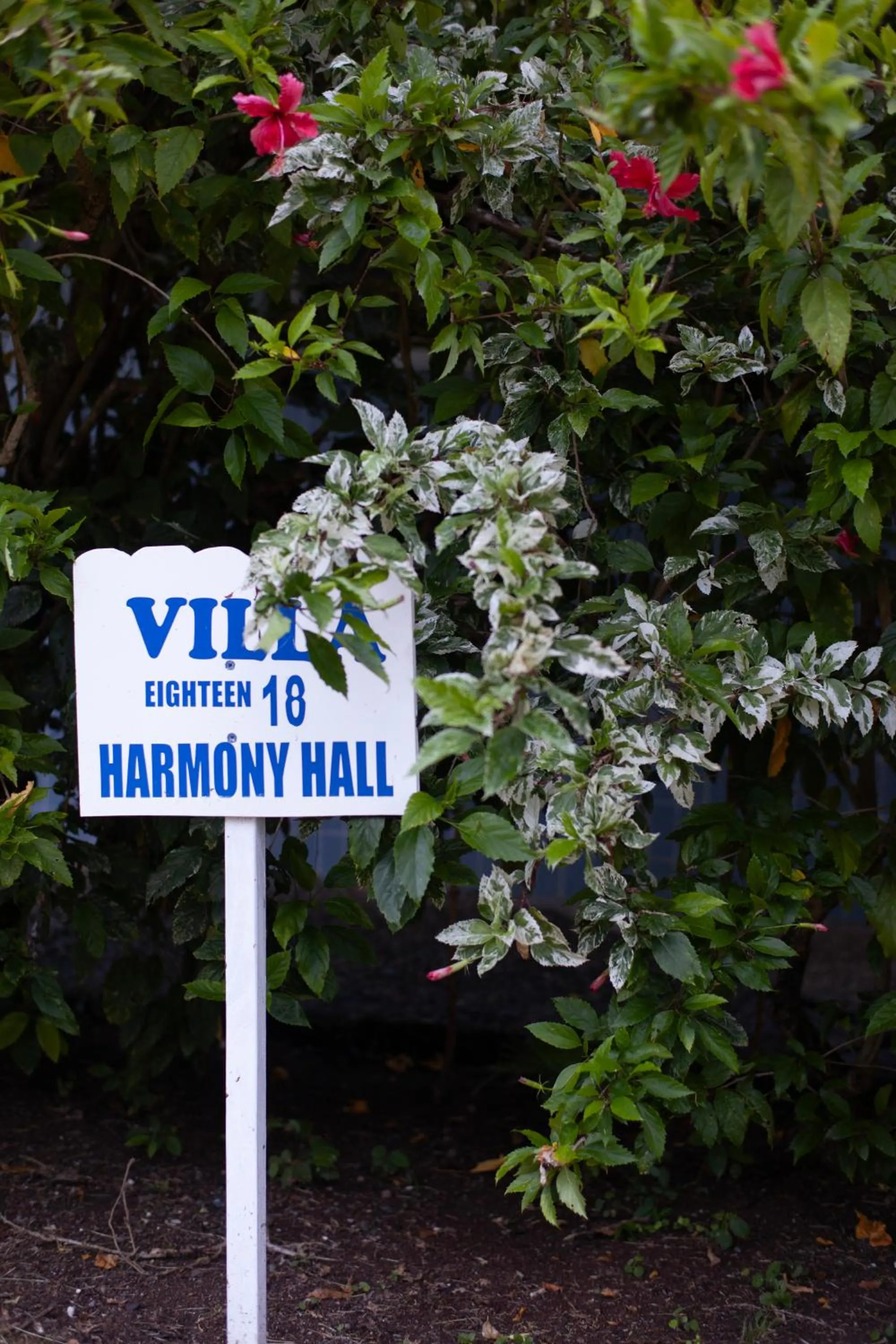 Frenchman's Cove Resort