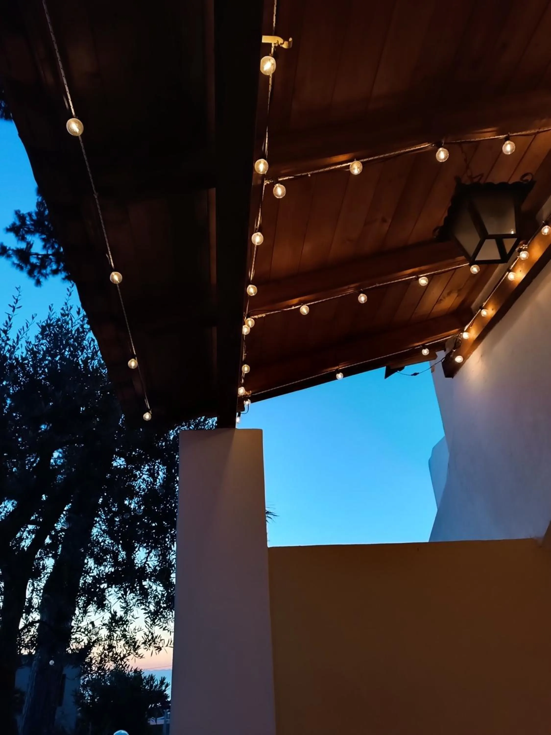 Balcony/Terrace in Villa Olivia Residence Ischia - Monolocali e Bilocali nel Verde con Piscine e Vista Mare