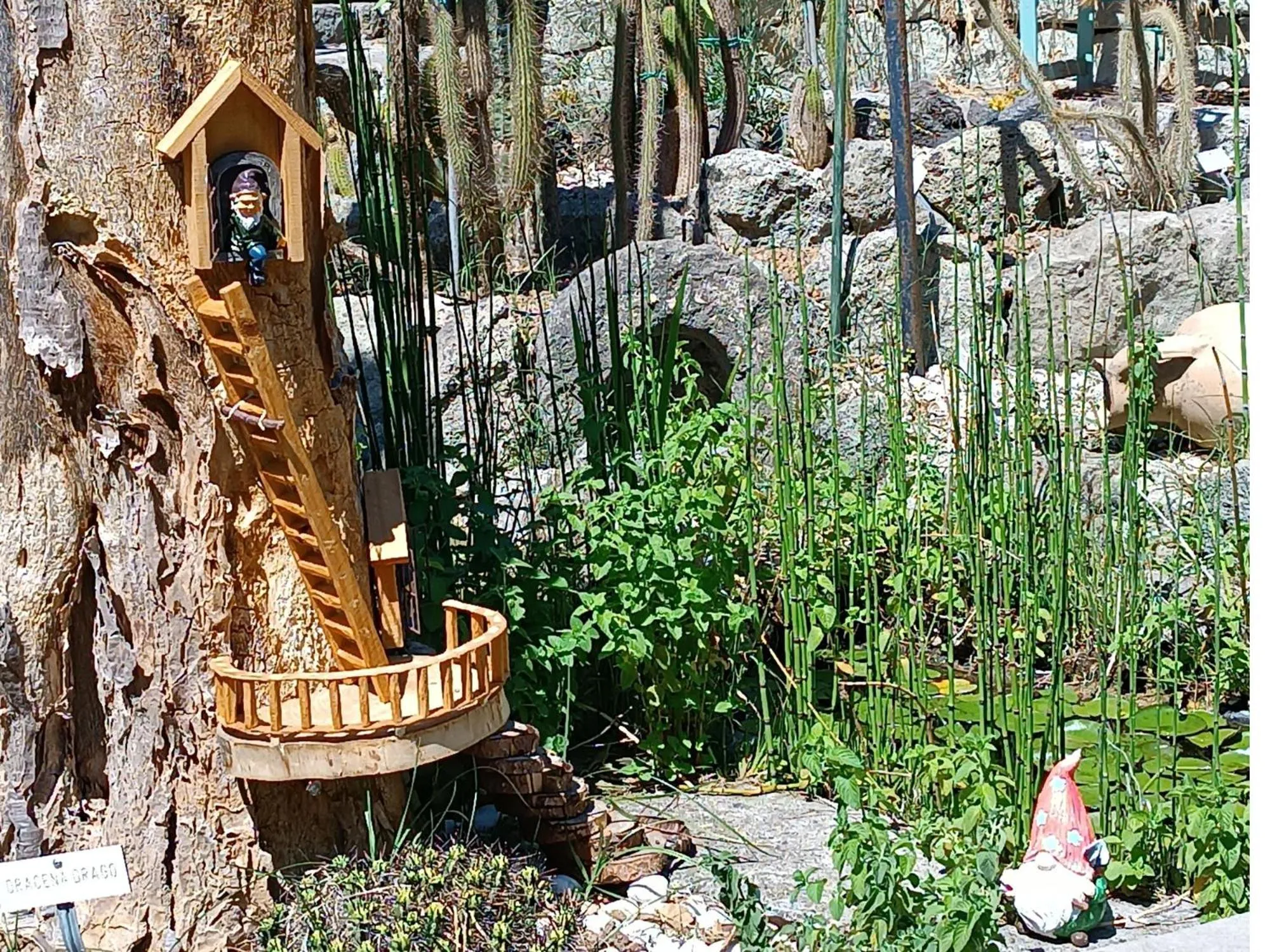 Property building in Villa Olivia Residence Ischia - Monolocali e Bilocali nel Verde con Piscine e Vista Mare