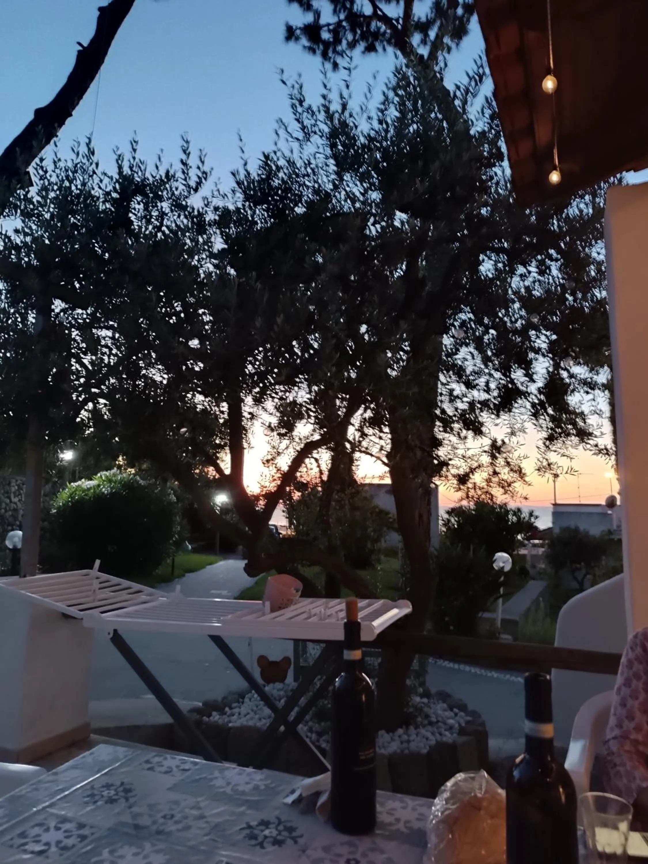 Patio in Villa Olivia Residence Ischia - Monolocali e Bilocali nel Verde con Piscine e Vista Mare