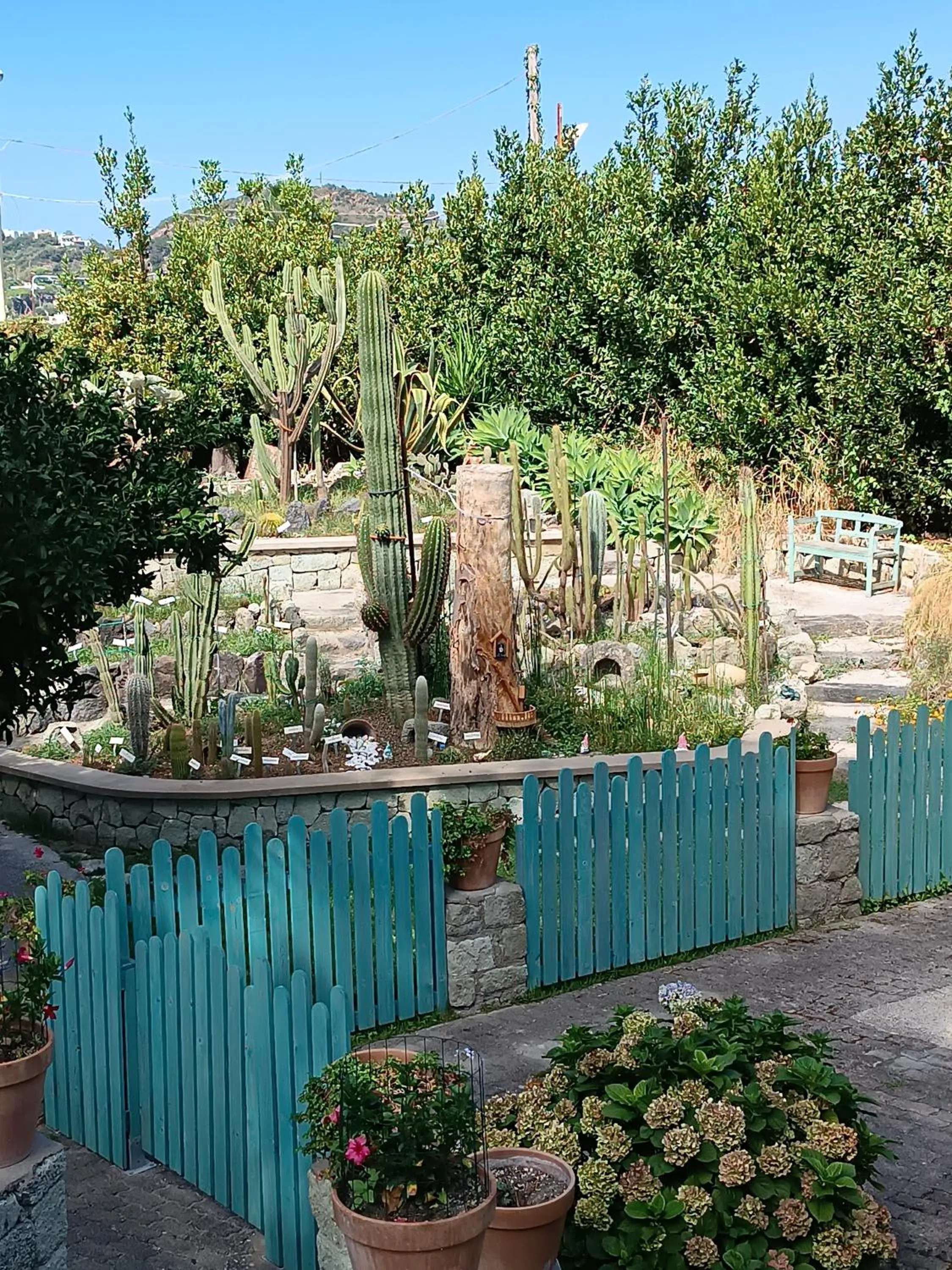 Villa Olivia Residence Ischia - Monolocali e Bilocali nel Verde con Piscine e Vista Mare