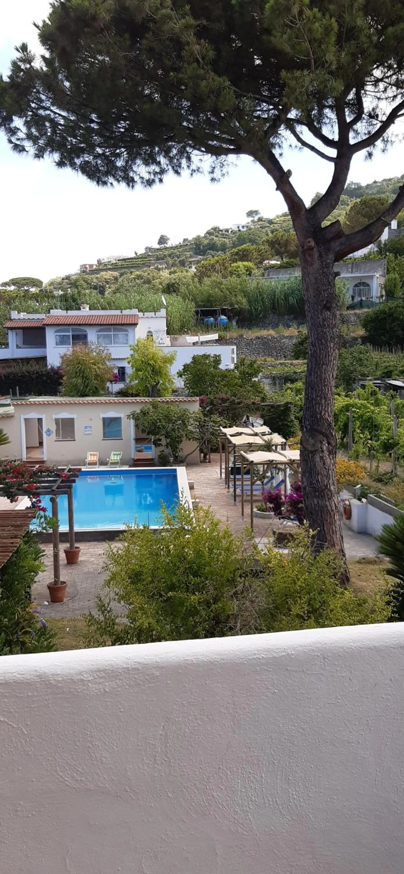 Pool view in Villa Olivia Residence Ischia - Monolocali e Bilocali nel Verde con Piscine e Vista Mare