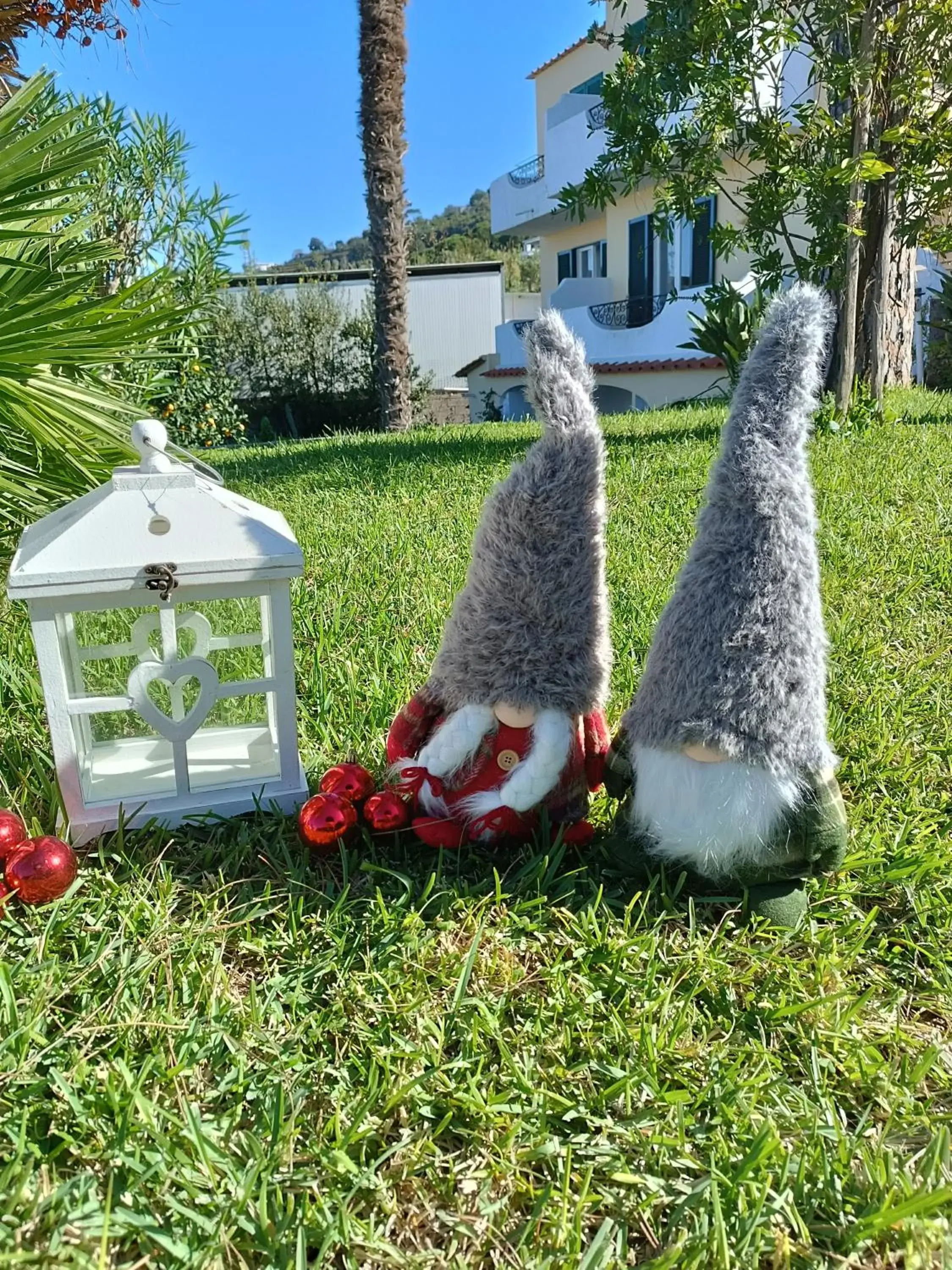 Villa Olivia Residence Ischia - Monolocali e Bilocali nel Verde con Piscine e Vista Mare Villa Olivia Residence Ischia - Monolocali e Bilocali nel Verde con Piscine e Vista Mare