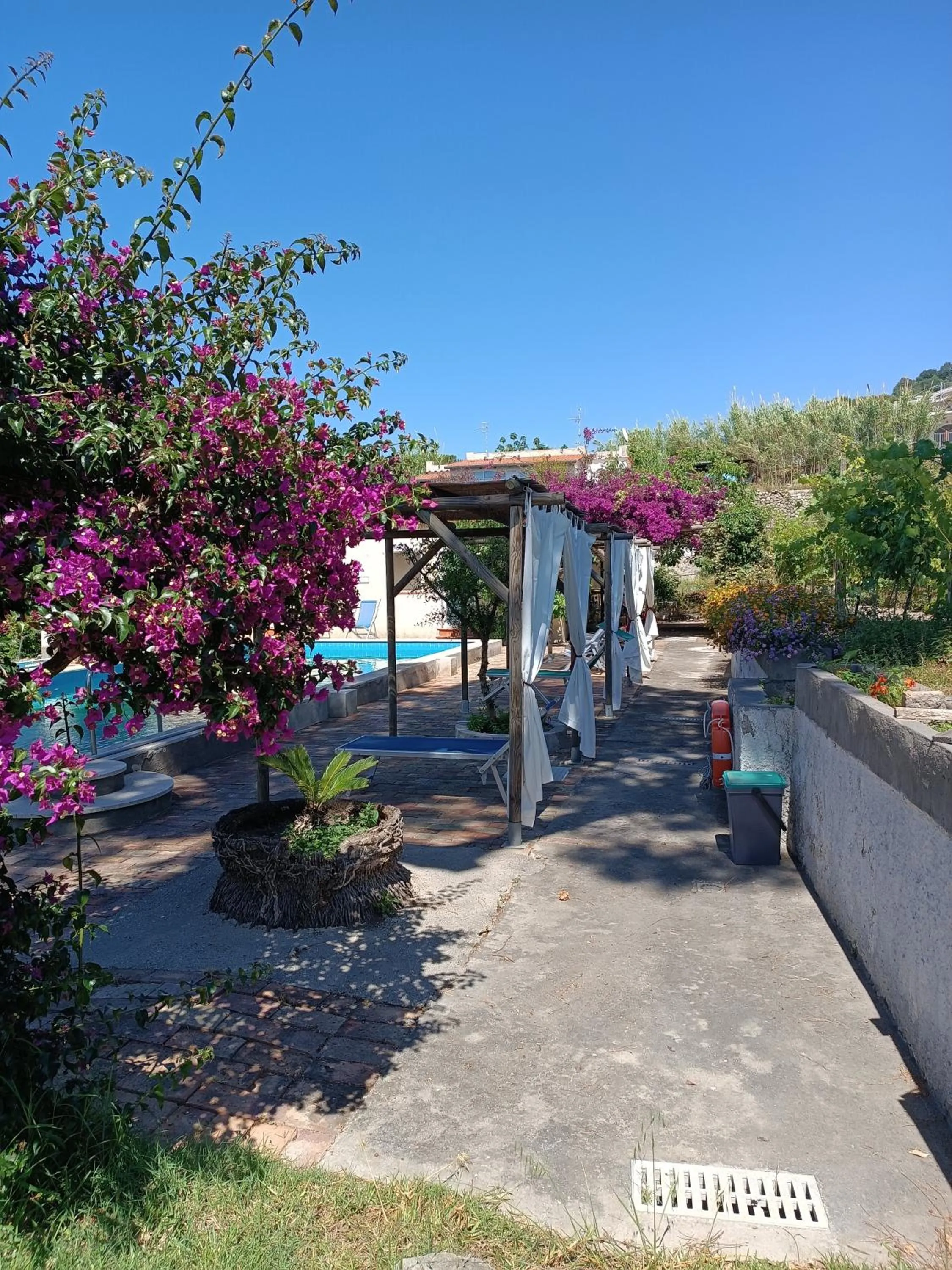 Day in Villa Olivia Residence Ischia - Monolocali e Bilocali nel Verde con Piscine e Vista Mare