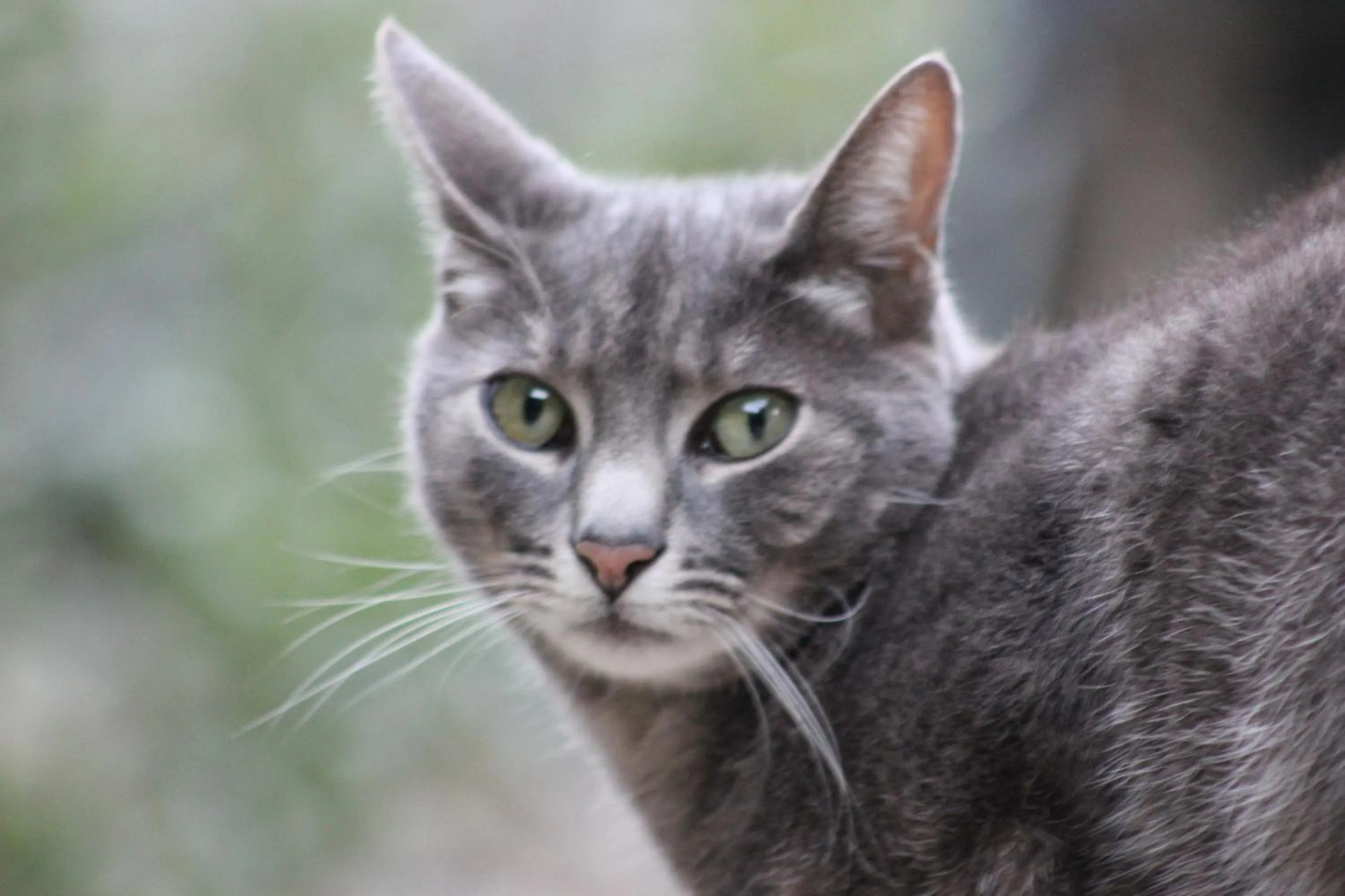 Other in Chambre d'Hôte "Chez Antoinette et Charles"