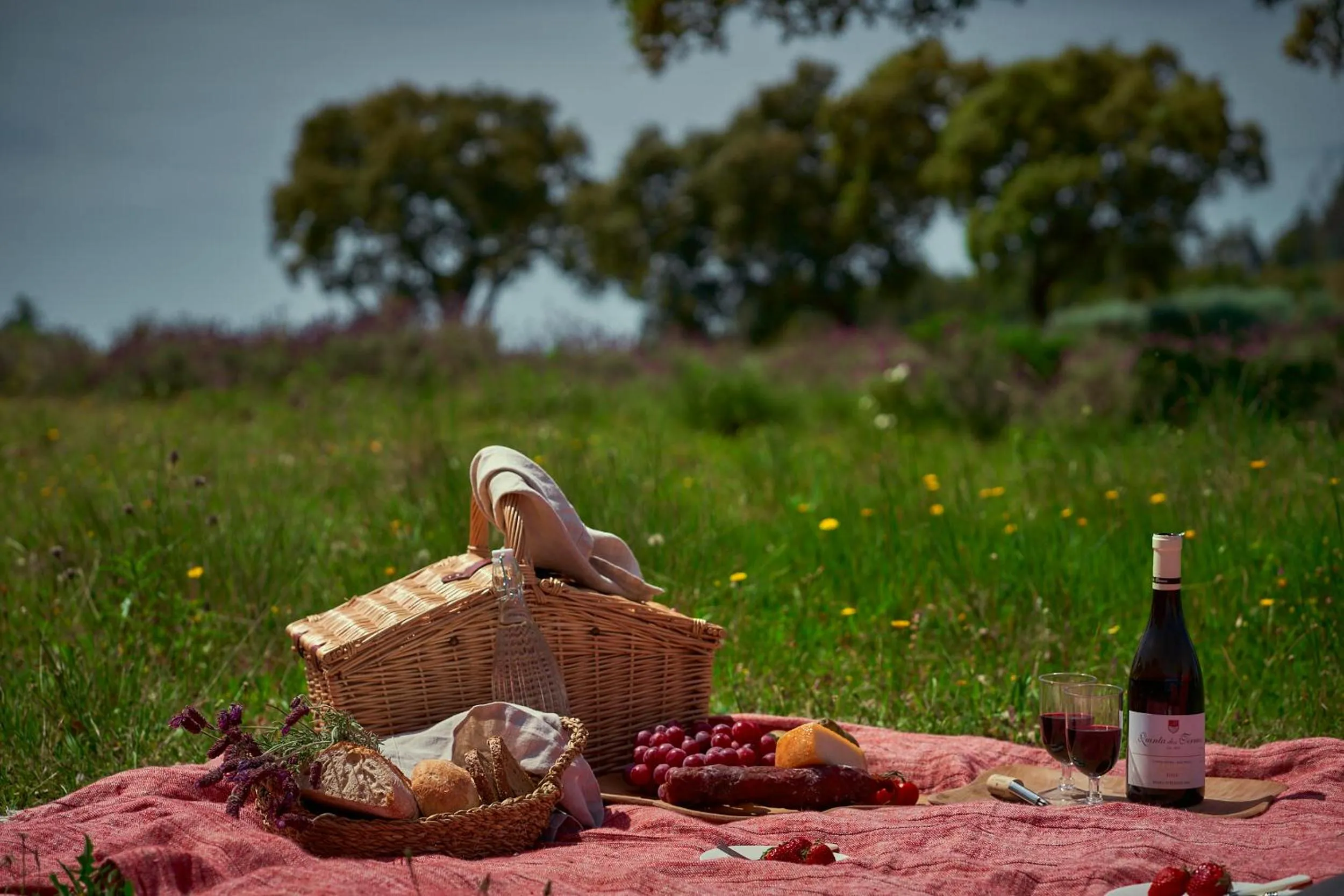 Restaurant/places to eat in Bode Country House