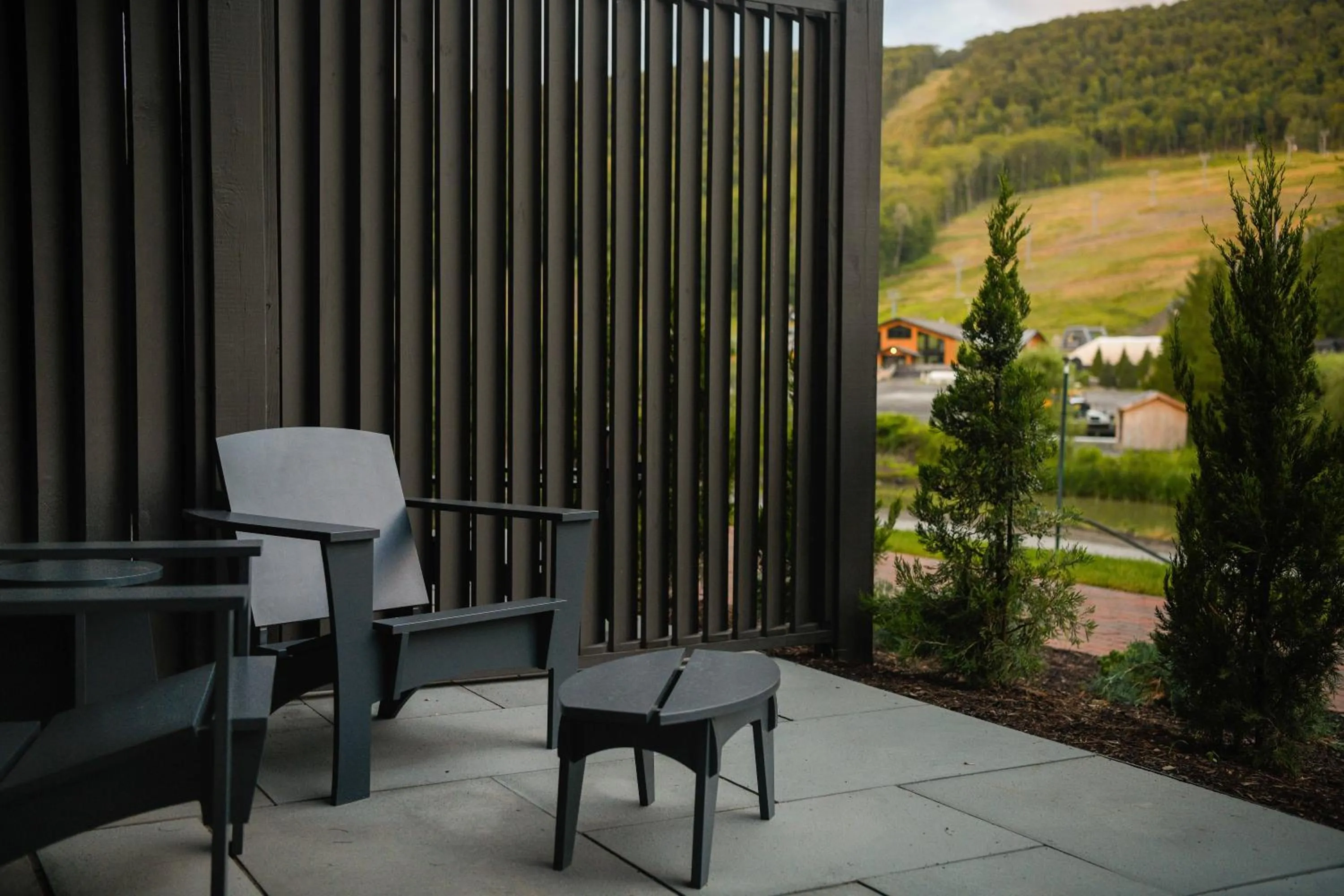 Natural landscape in Little Cat Lodge