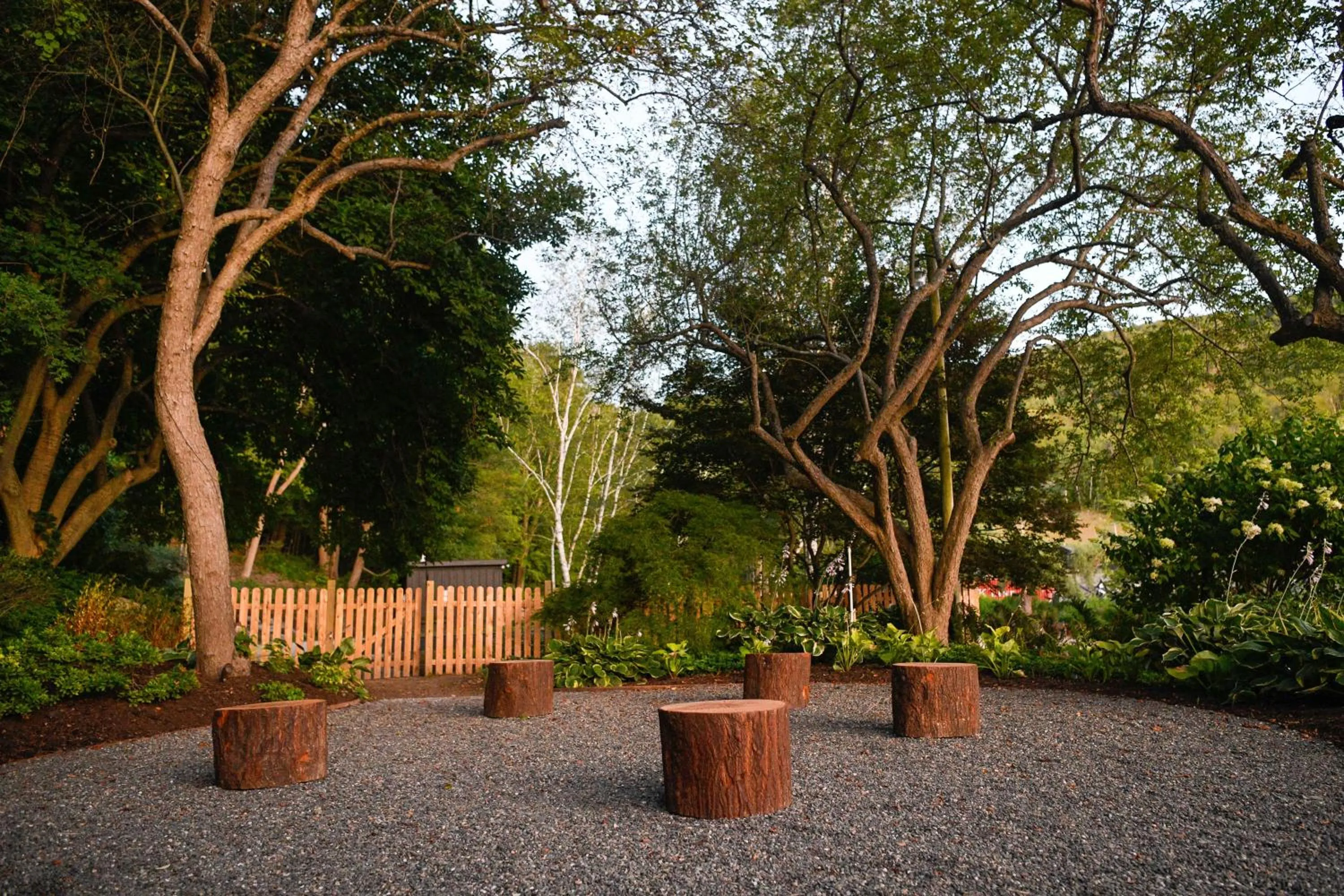 Natural landscape in Little Cat Lodge