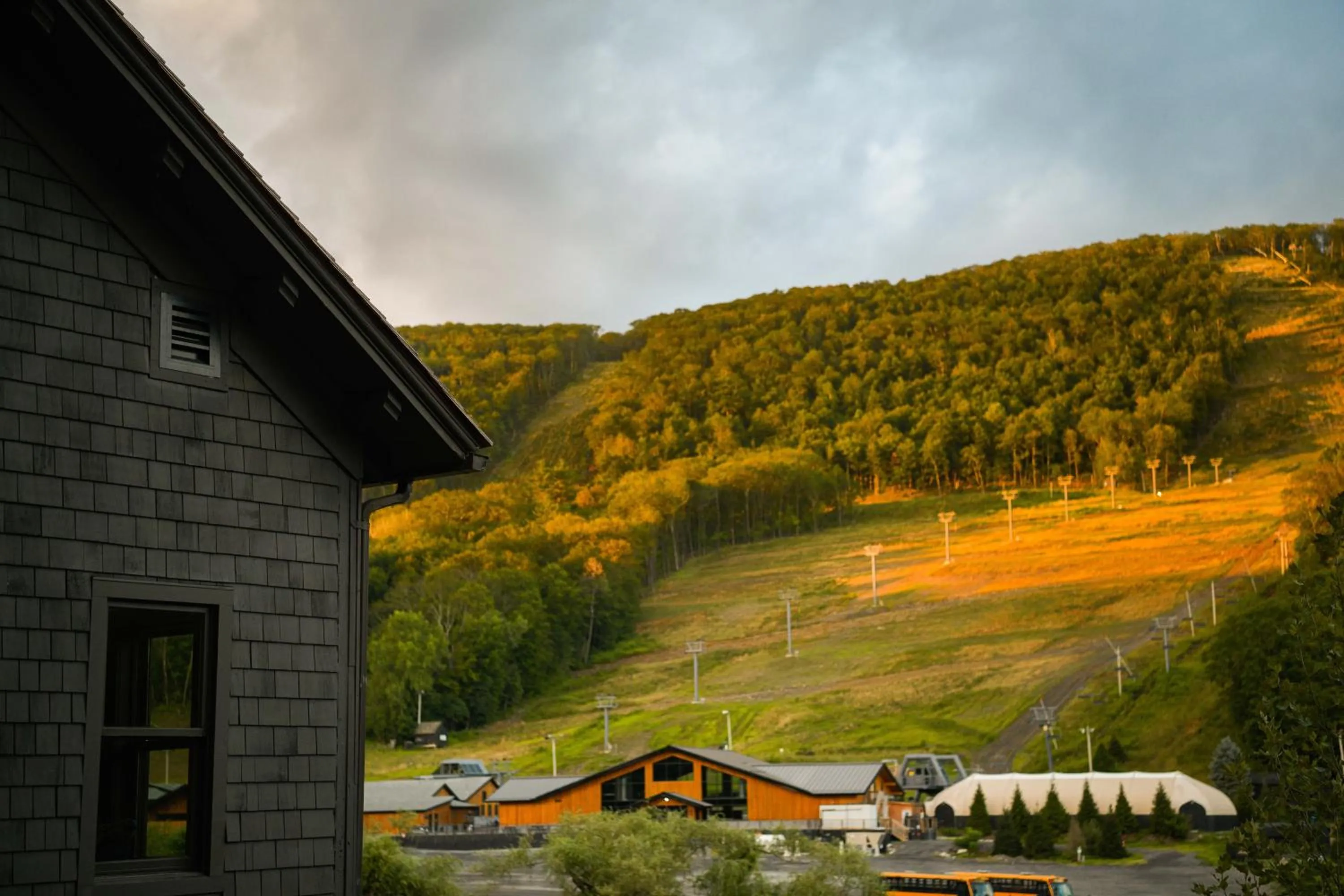 Day in Little Cat Lodge