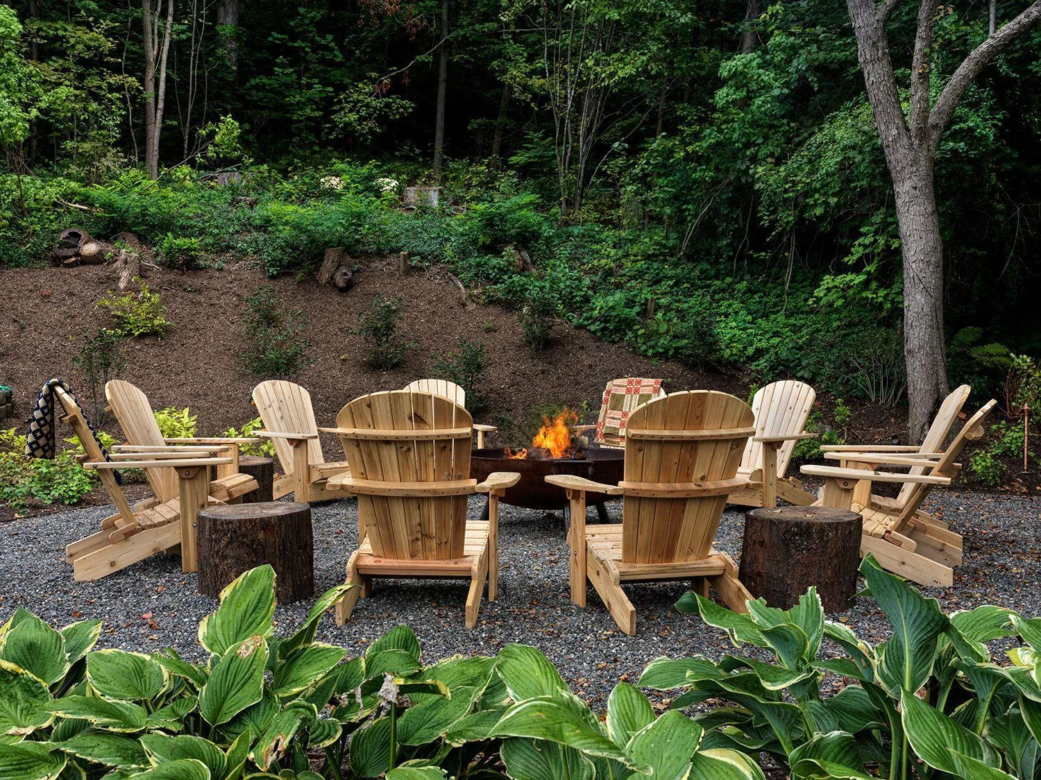 Natural landscape in Little Cat Lodge