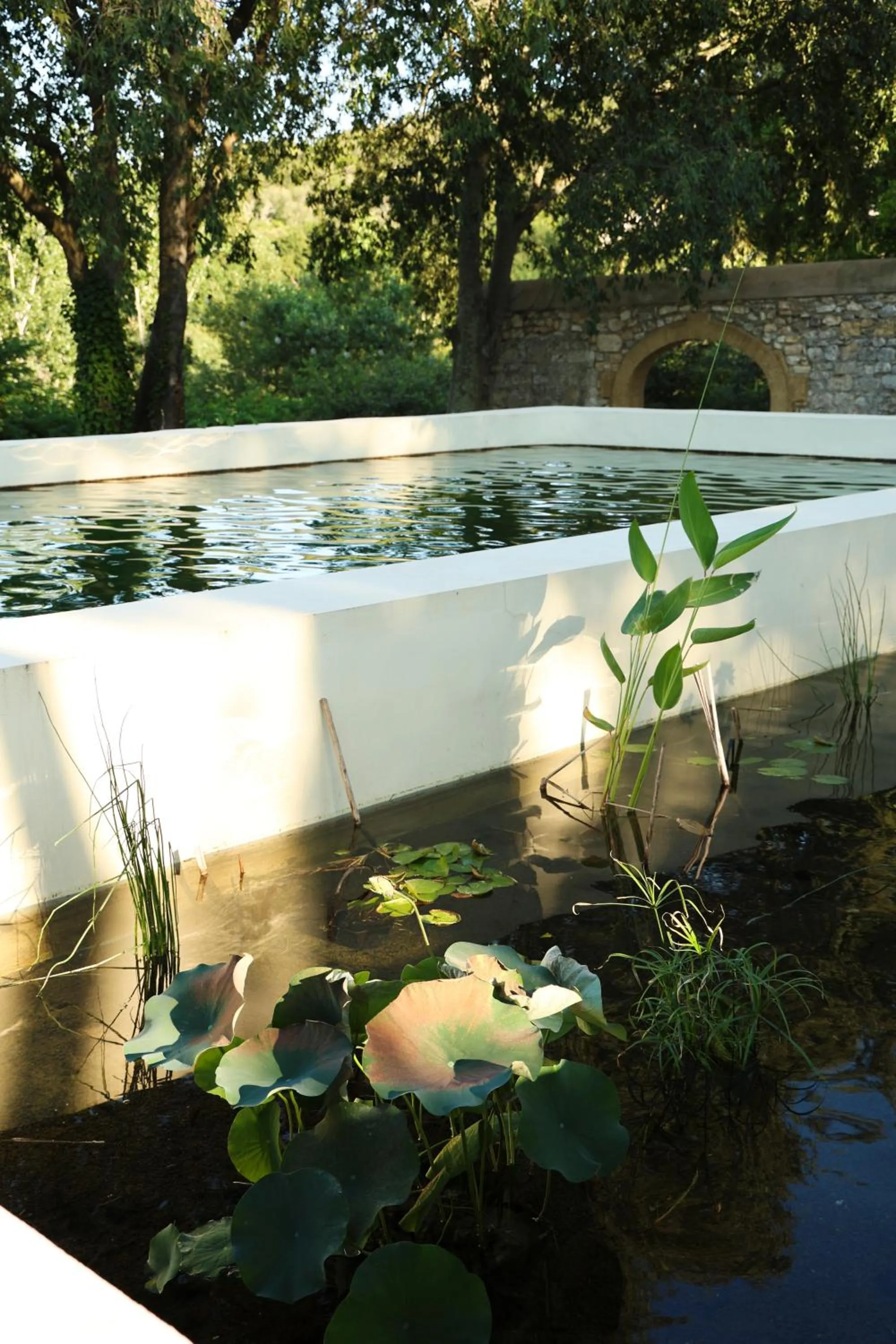 Swimming pool in Prieuré Saint-Nicolas - Les Maisons