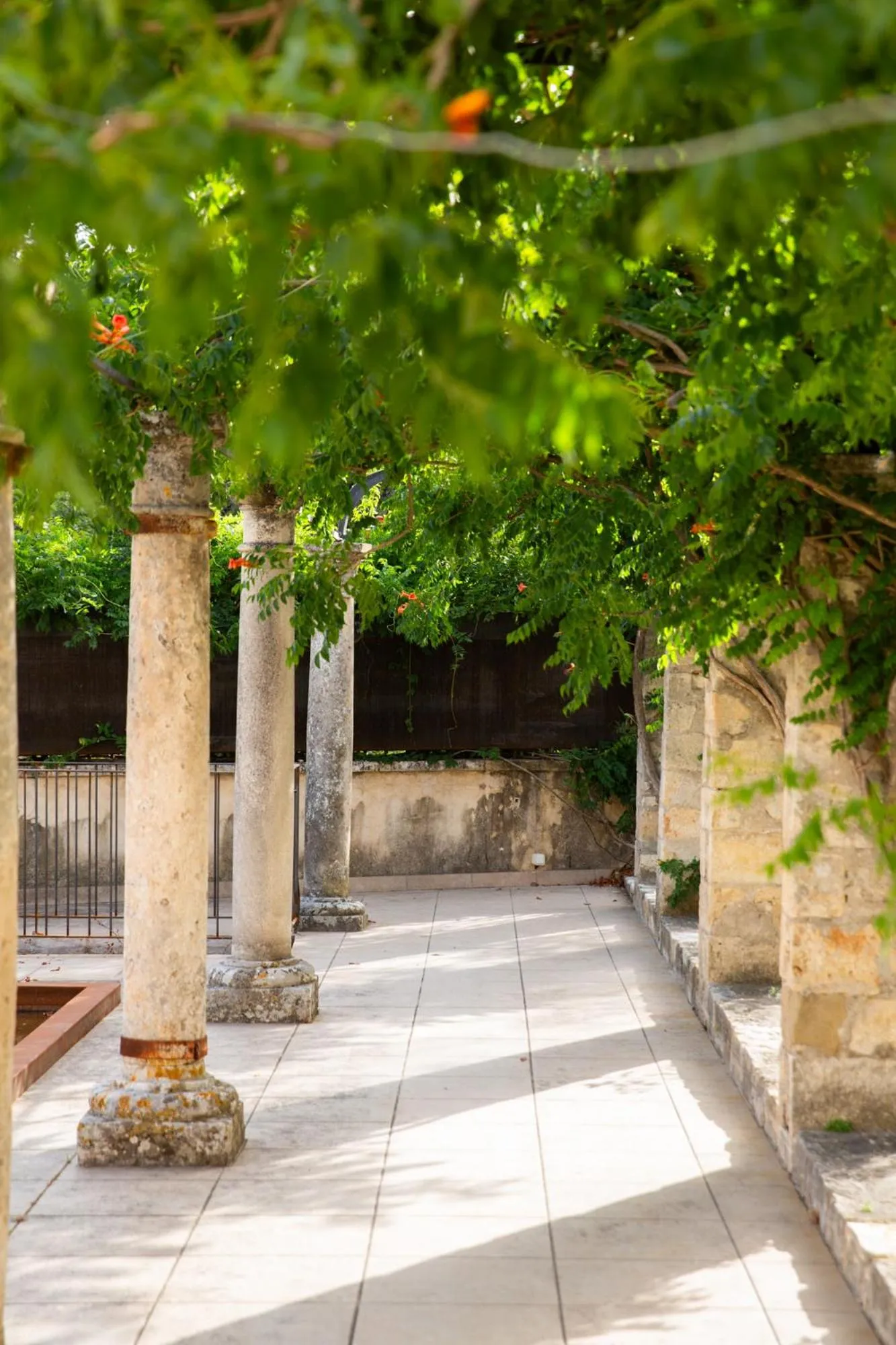 Garden in Prieuré Saint-Nicolas - Les Maisons
