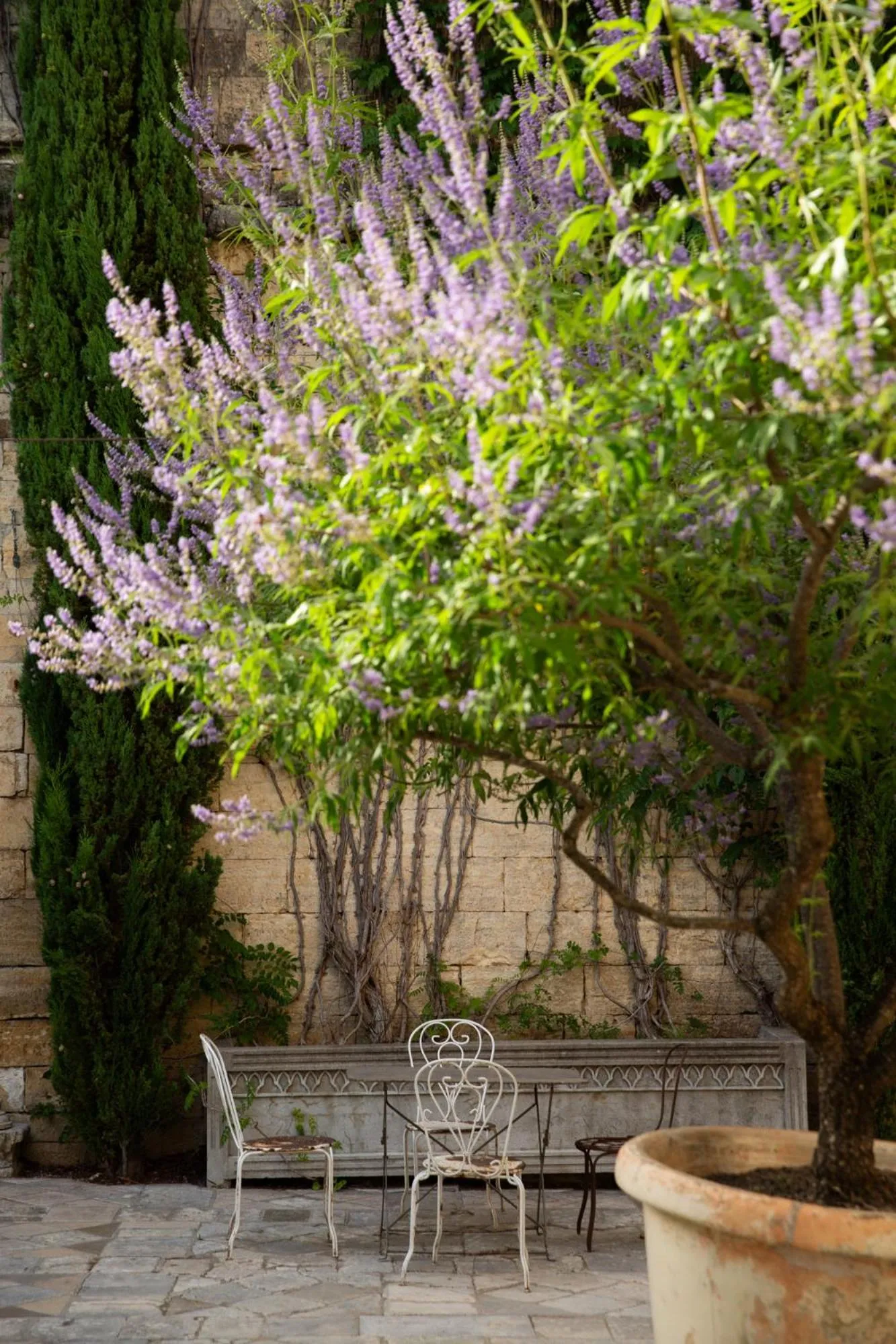 Garden in Prieuré Saint-Nicolas - Les Maisons