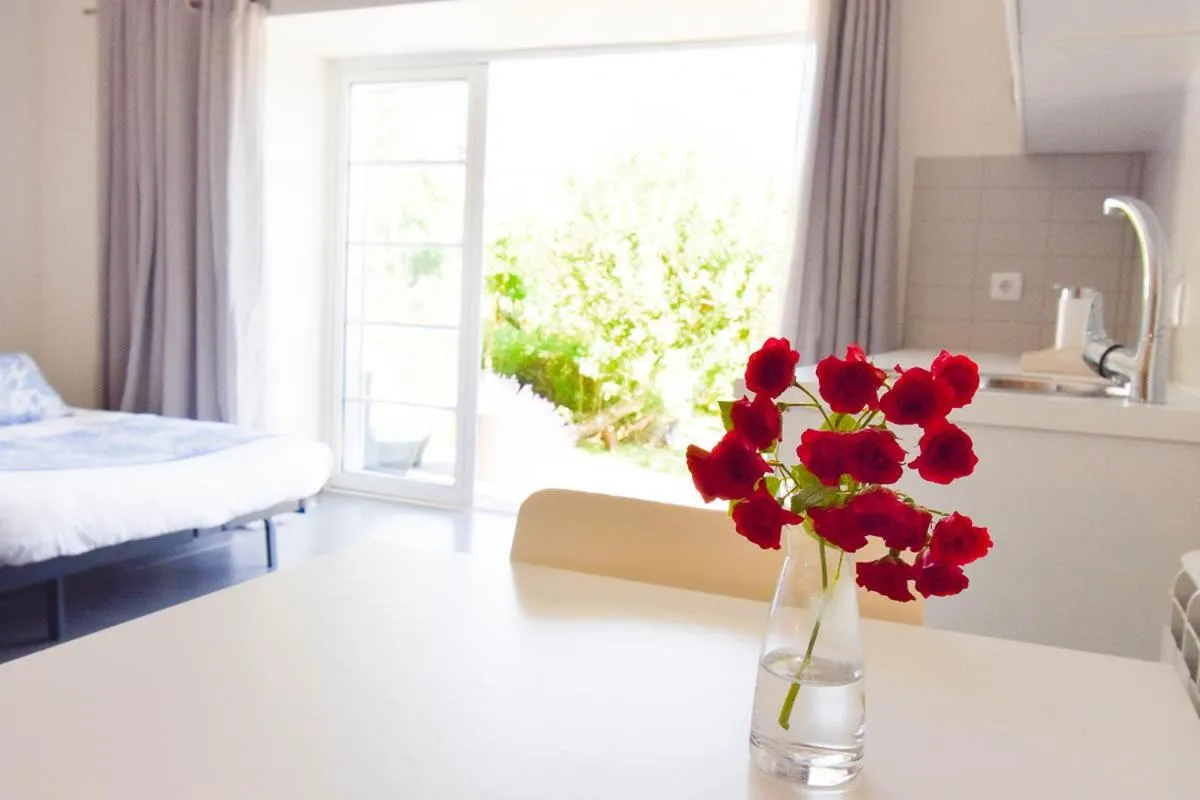 Photo of the whole room in Casa nas Serras