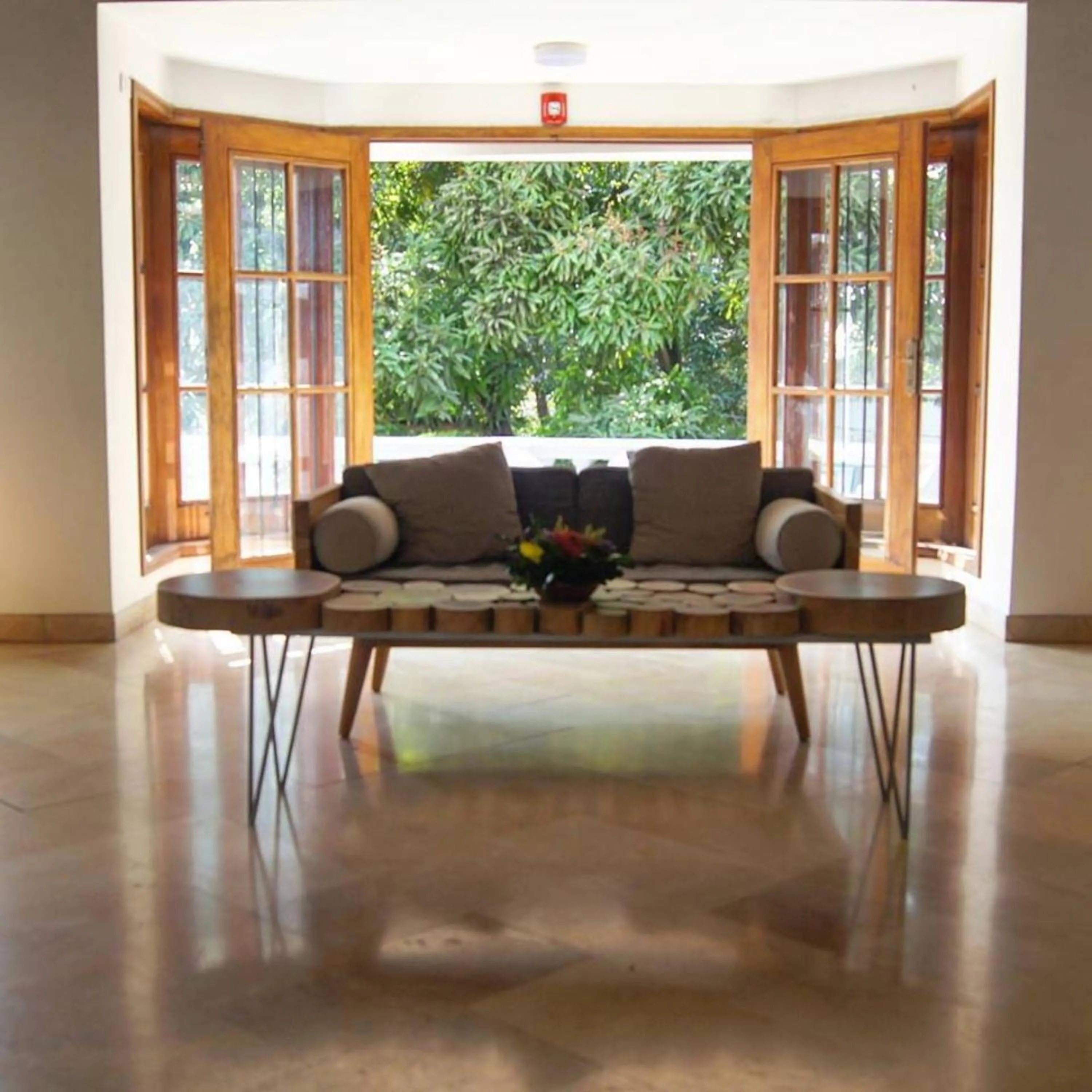 Area and facilities in Iguanazu Bed & Breakfast