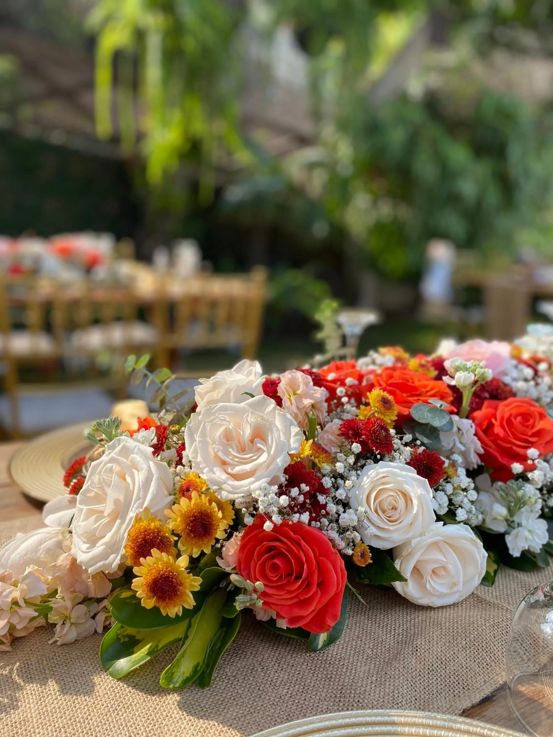 Day in Iguanazu Bed & Breakfast