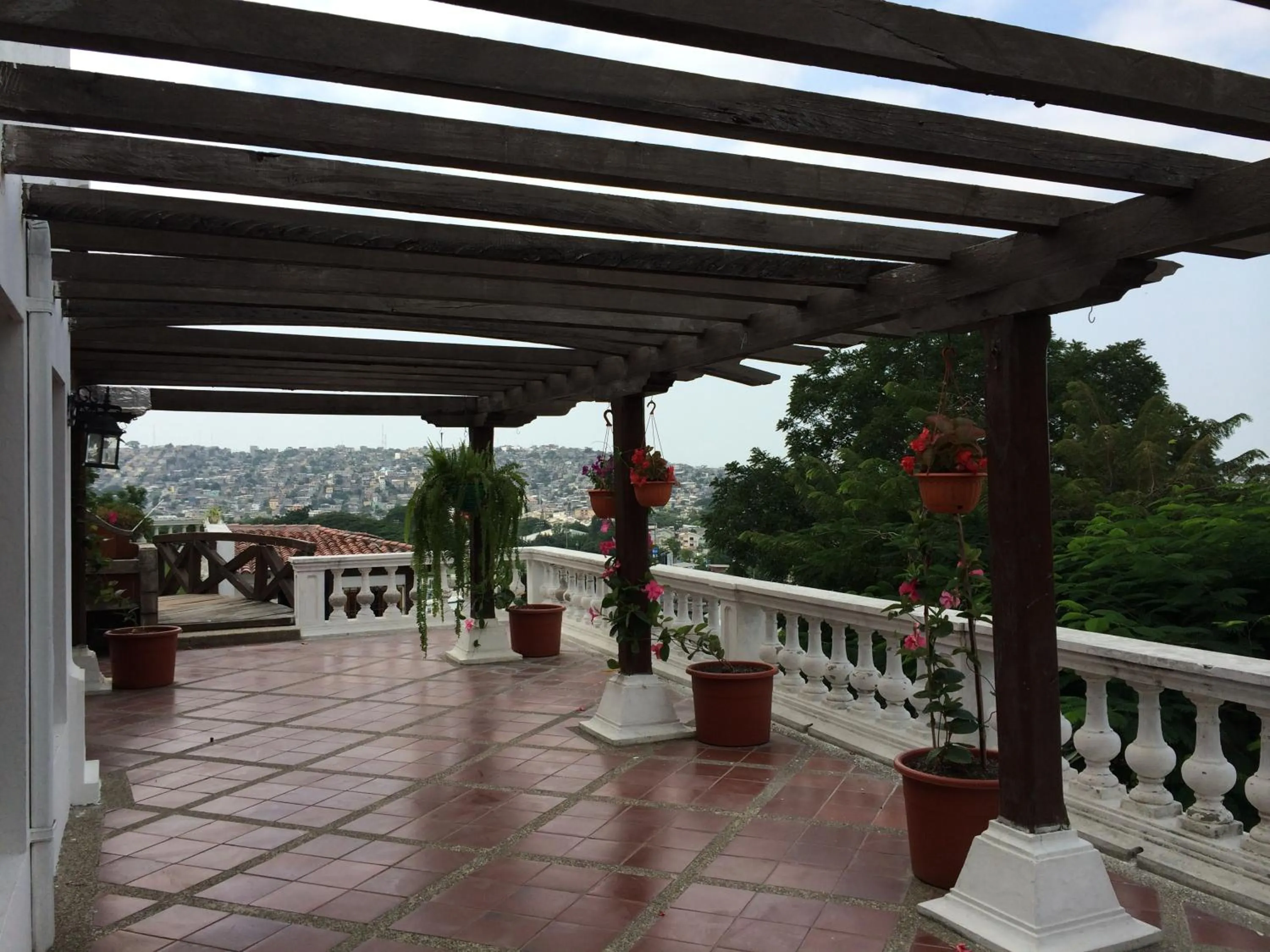 View (from property/room) in Iguanazu Bed & Breakfast