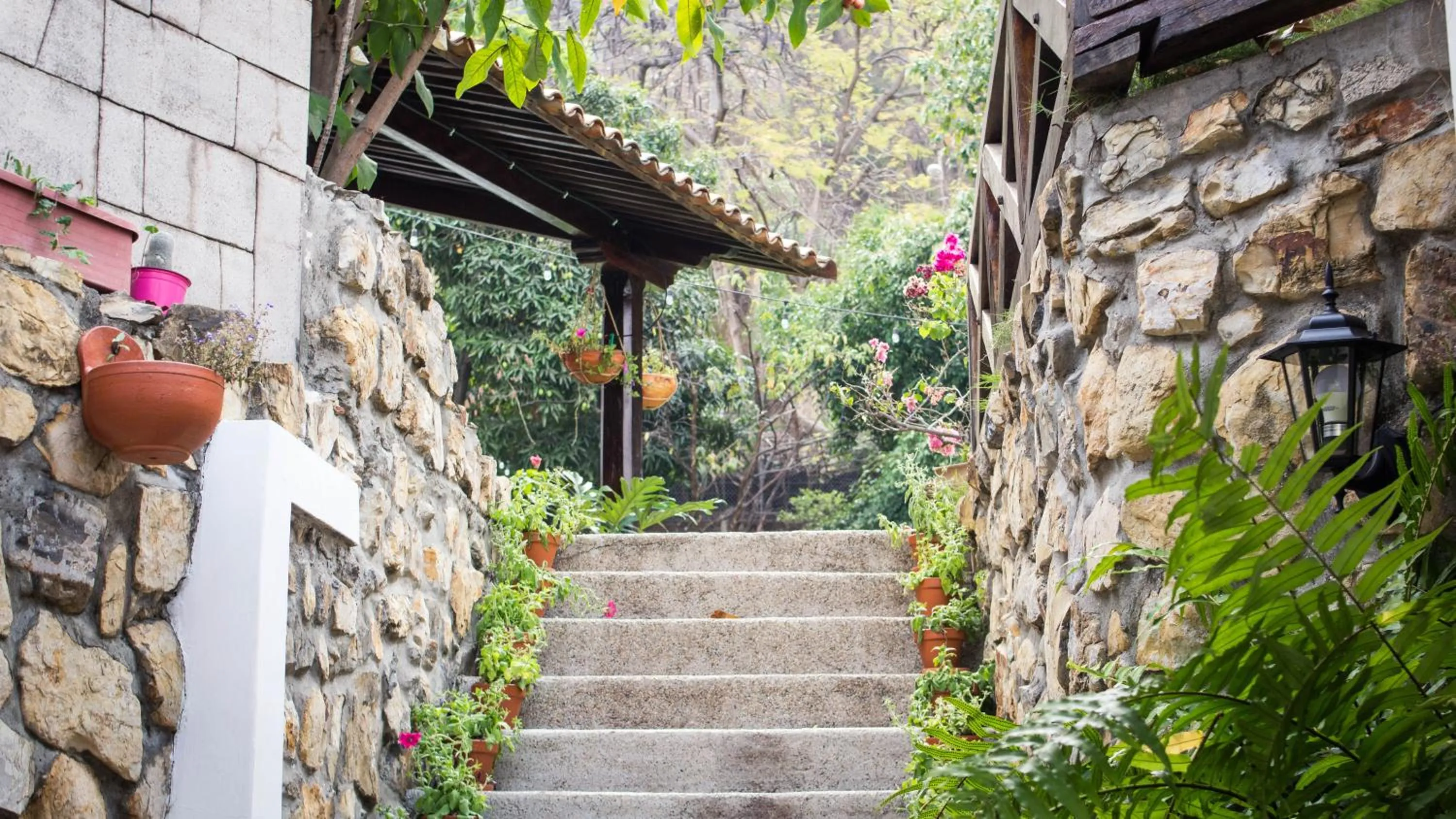 Facade/entrance in Iguanazu Bed & Breakfast