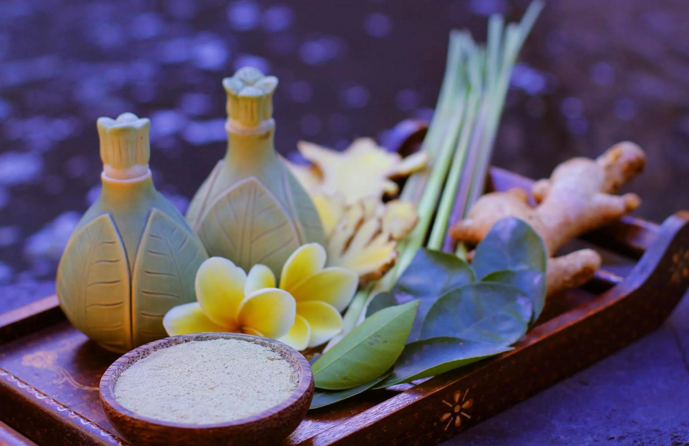 Spa and wellness centre/facilities in Agata Villas Seminyak