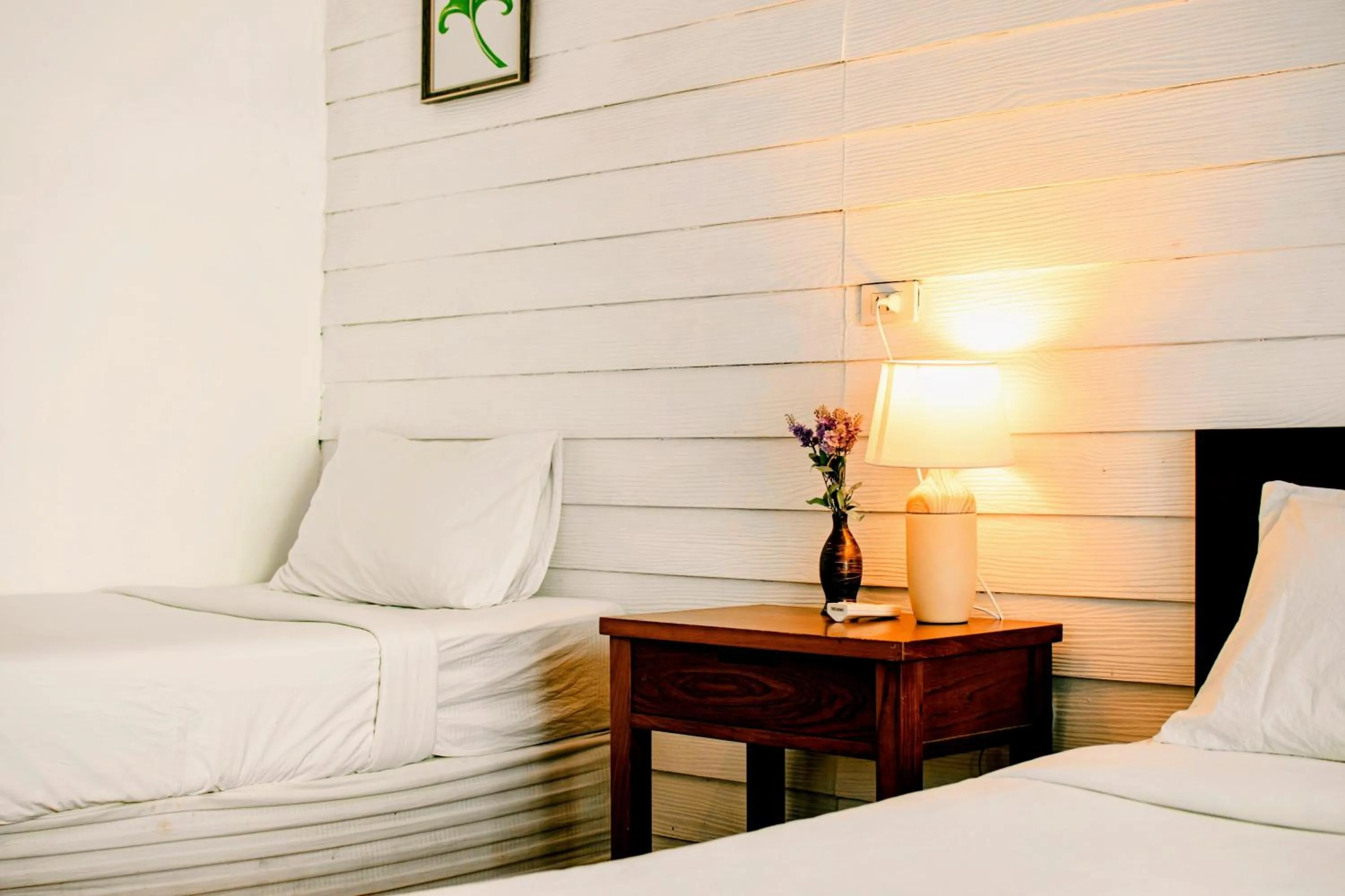 Bedroom, Bed in Back Home Backpackers Hostel