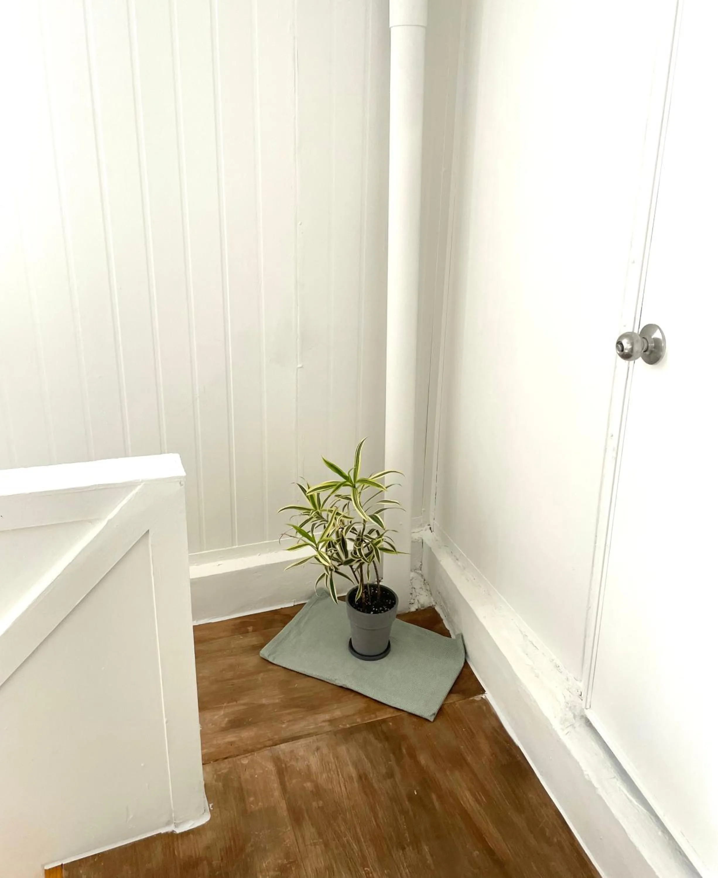 Area and facilities in Danaharu Guesthouse