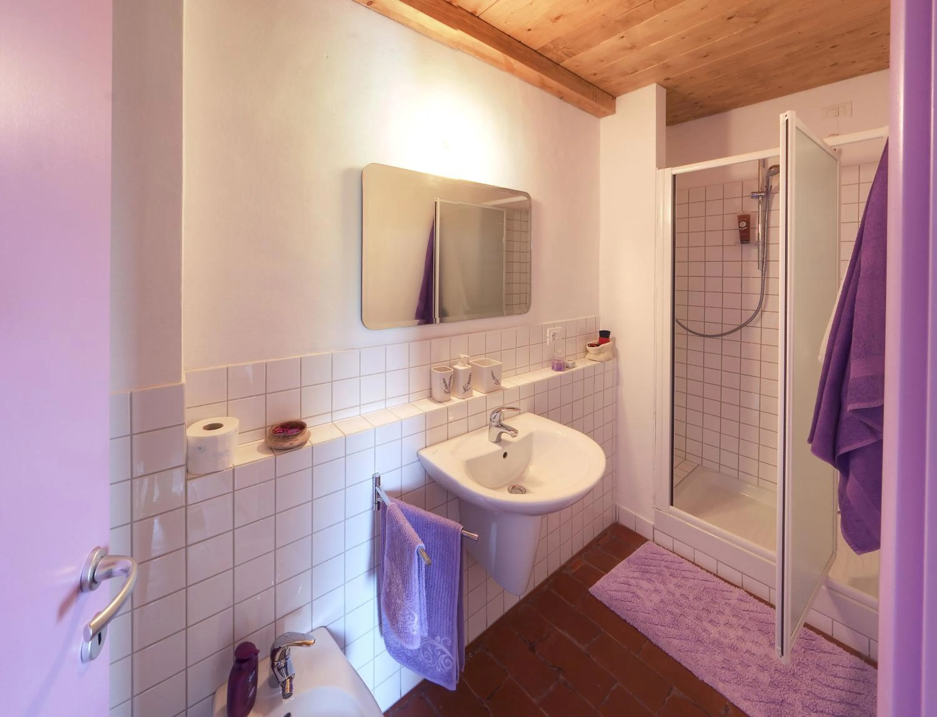 Shower in B&B Campodisole