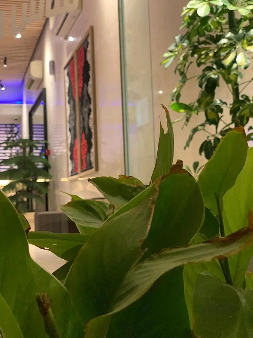 ساس رتل للوحدات السكنية المفروشة