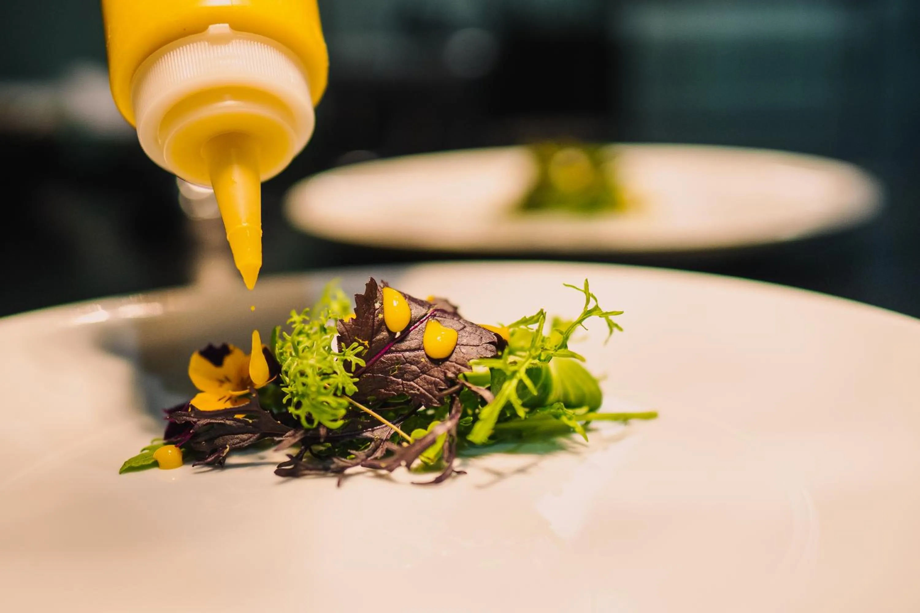 Restaurant/places to eat in Palazzo Petrvs