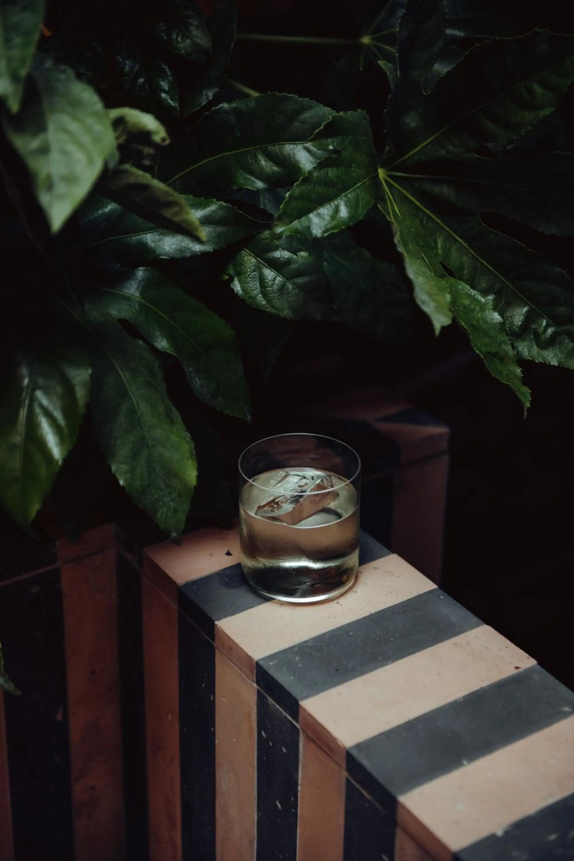 Lounge or bar in Palazzo Petrvs