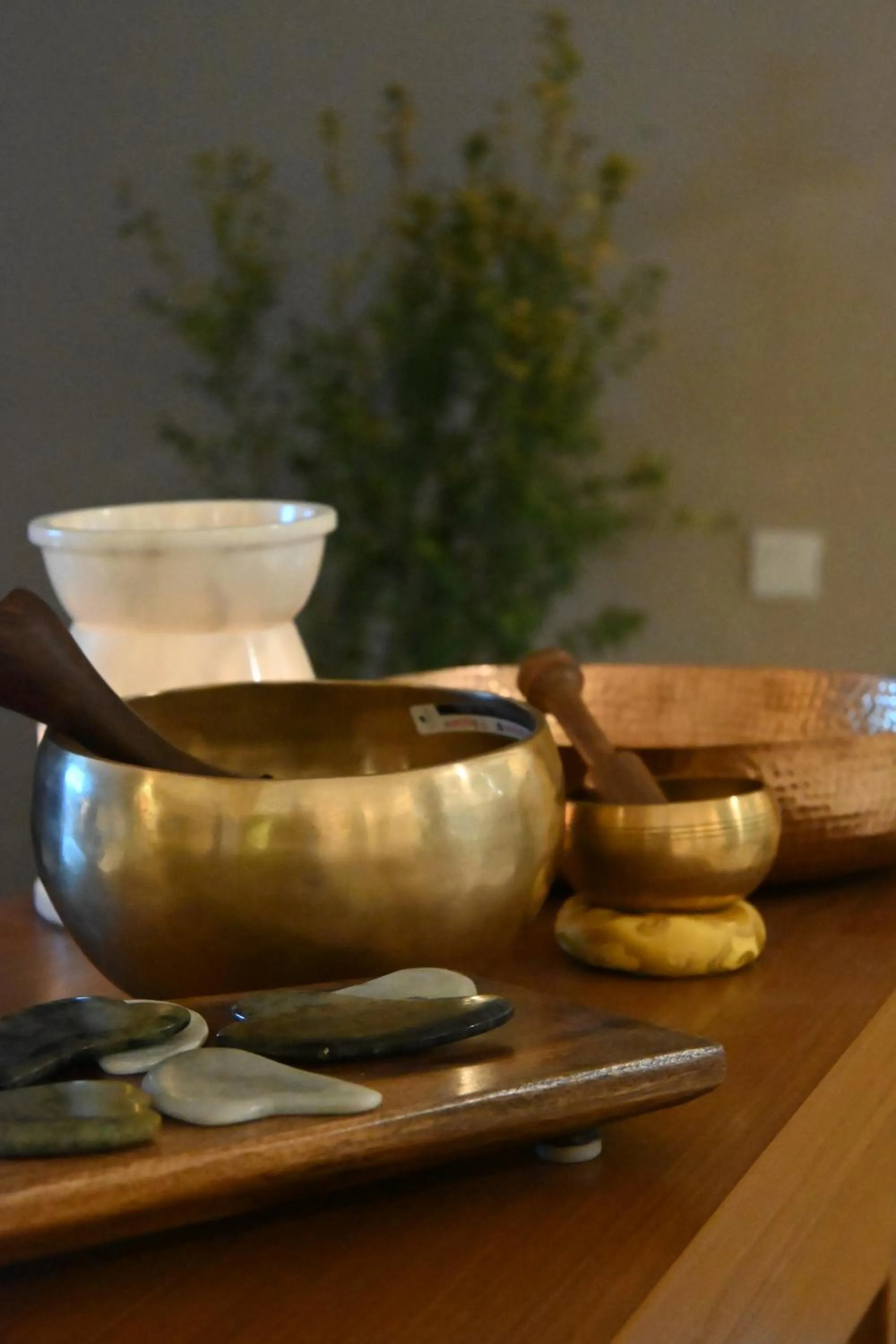 Spa and wellness centre/facilities in Ambiance Resort Hunza