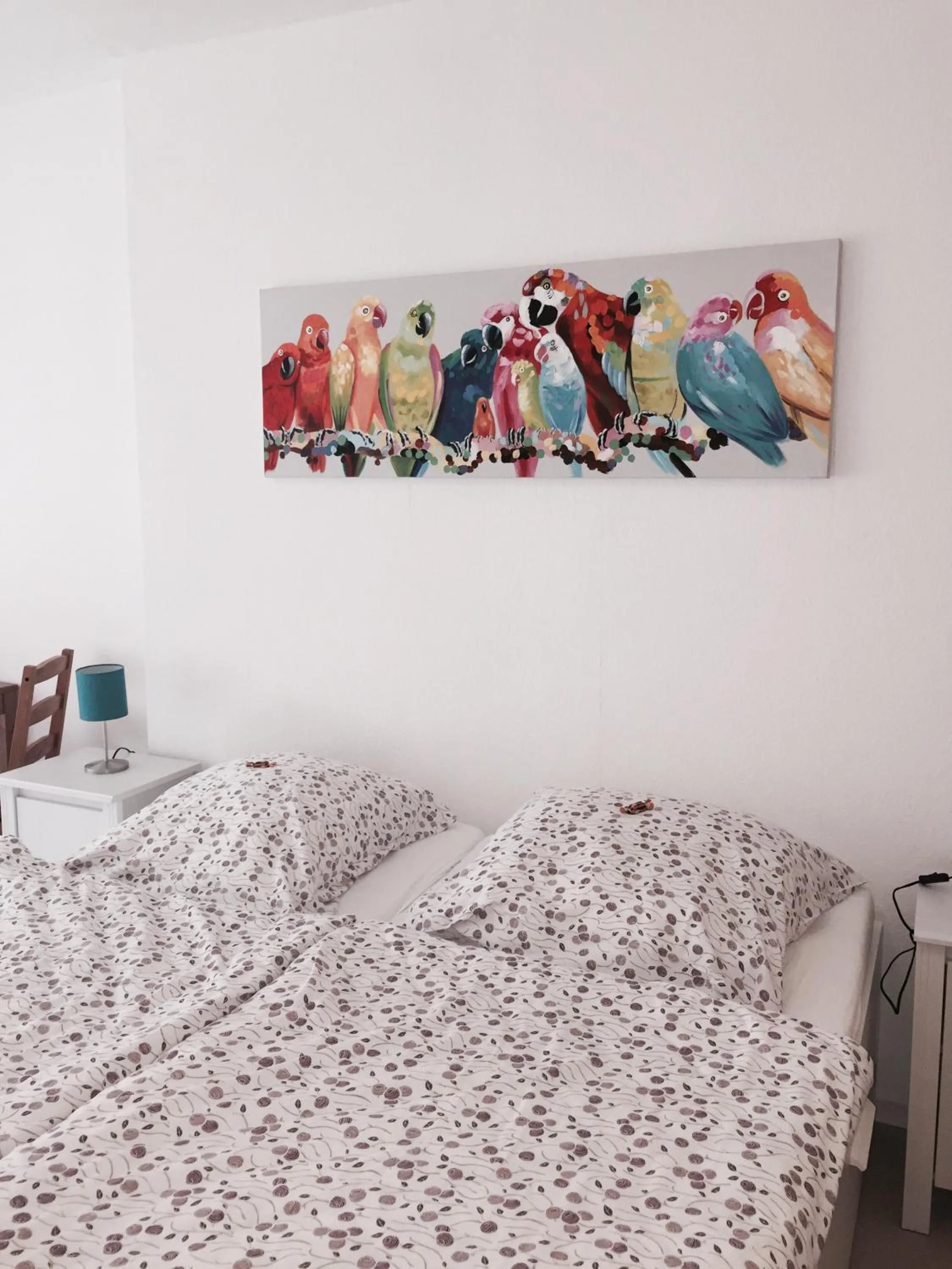 Junior Suite with Terrace in Pension Lindenhof