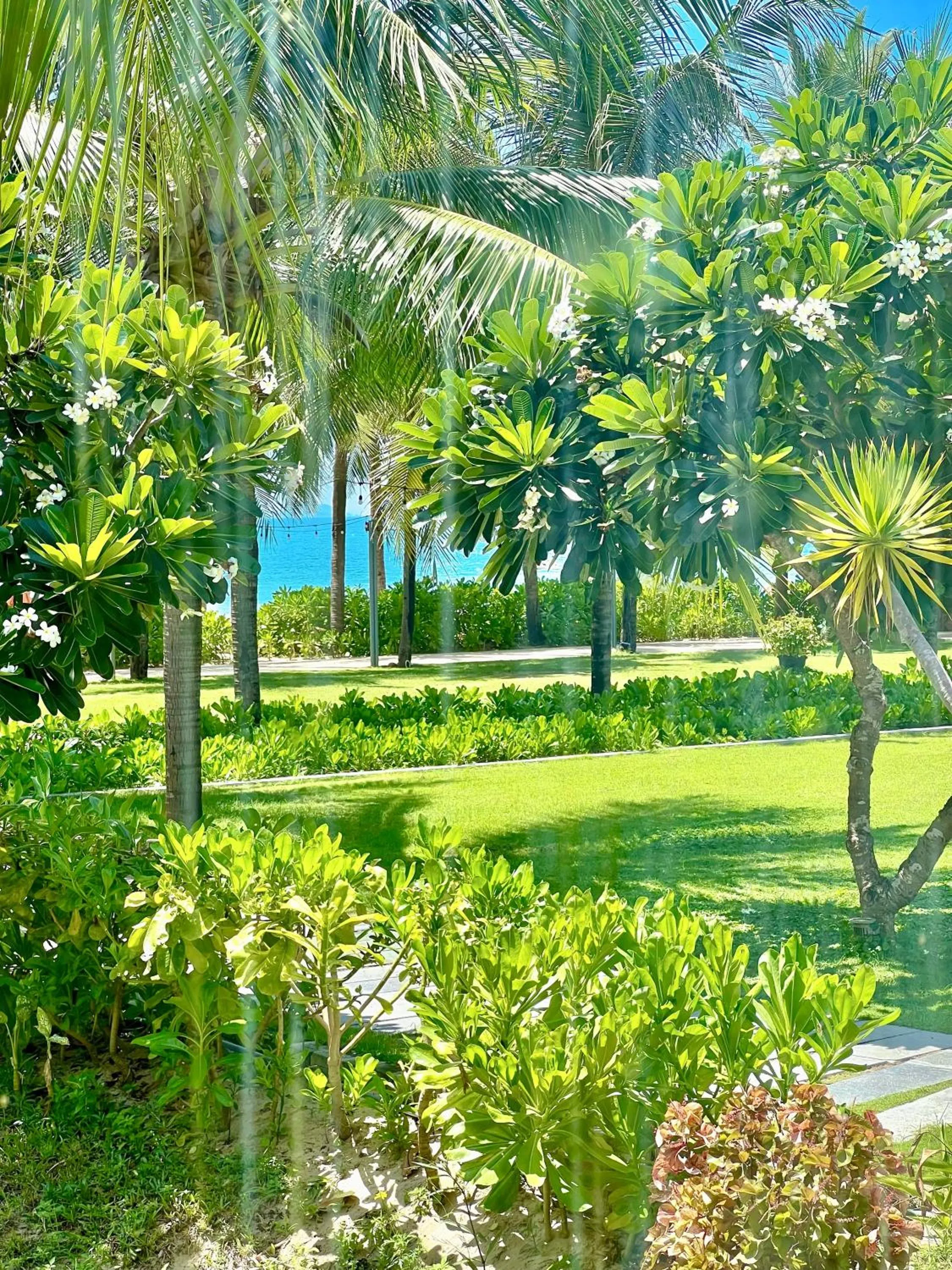 Garden in Temple Da Nang Resort