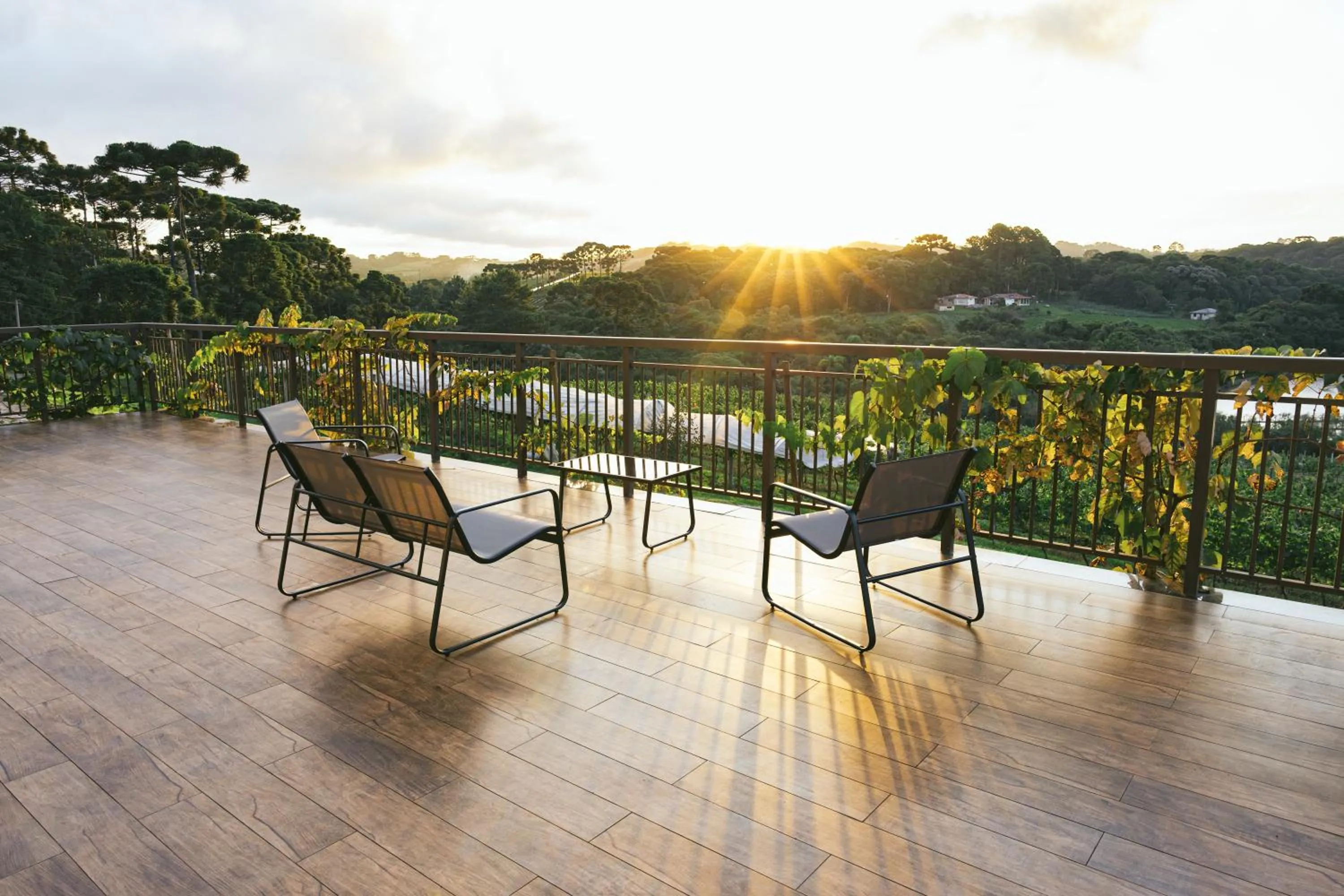 Natural landscape in Hotel Boutique Vinícola Araucária by Slaviero Hotéis