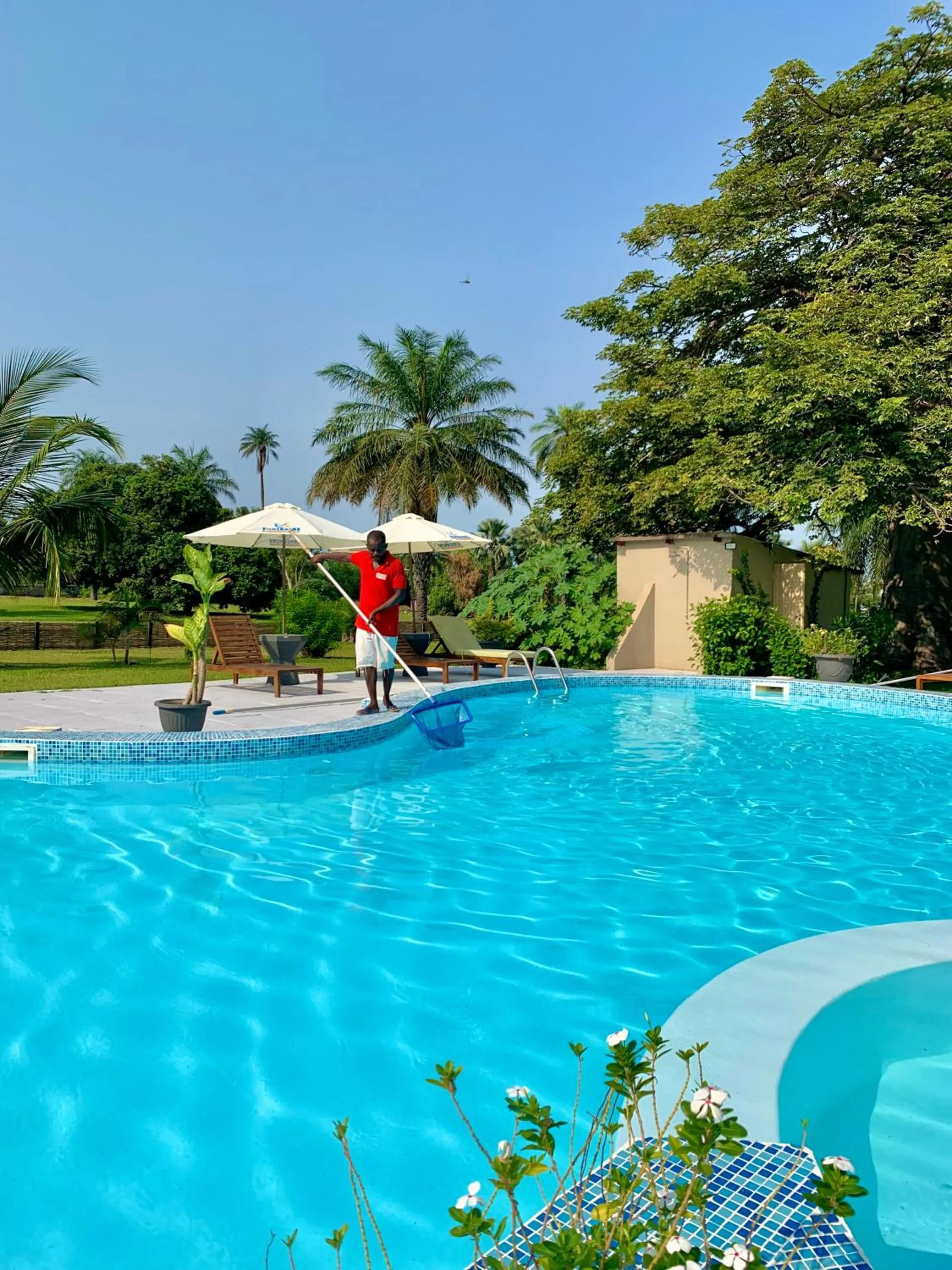 Swimming pool in Kololi Beach Resort