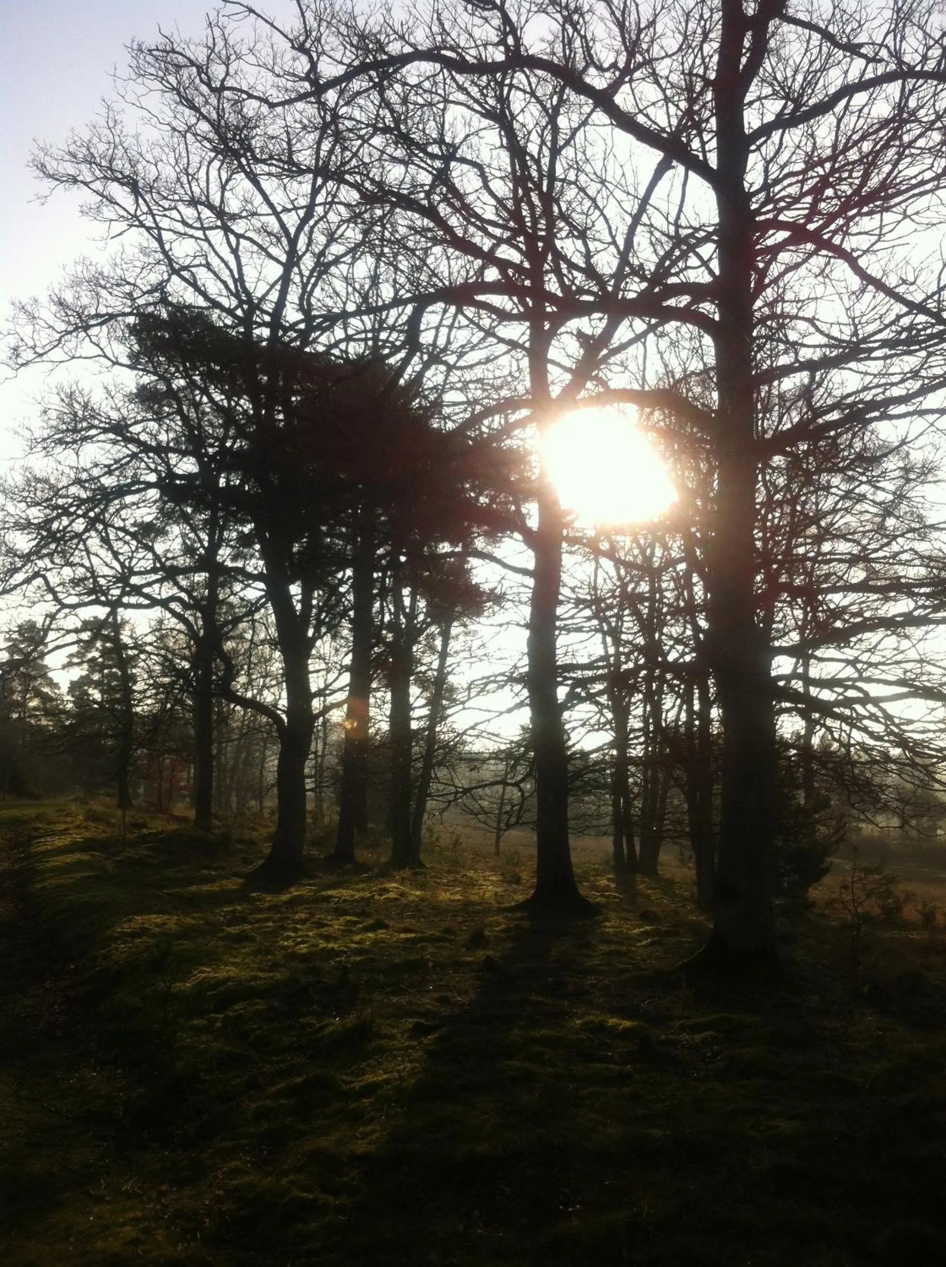 Area and facilities in Bridge Hotel Brandon