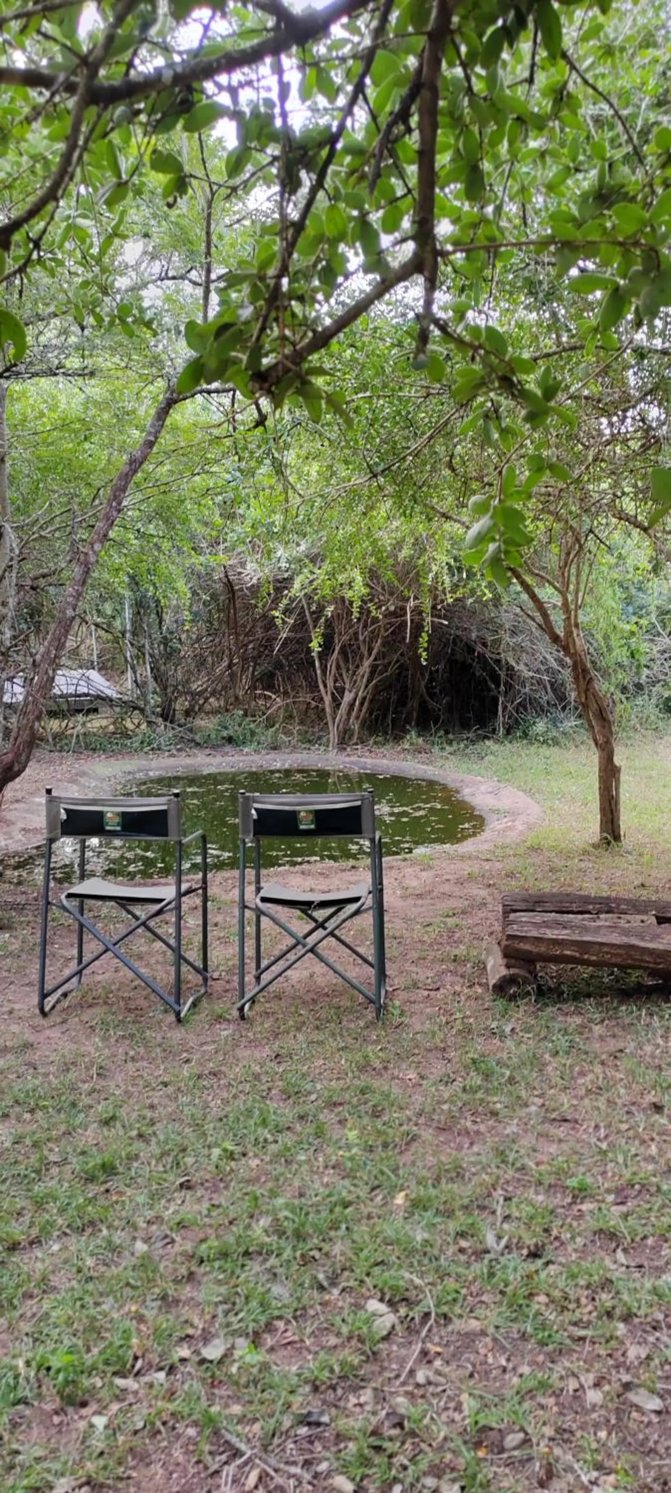 Natural landscape in Thornwood