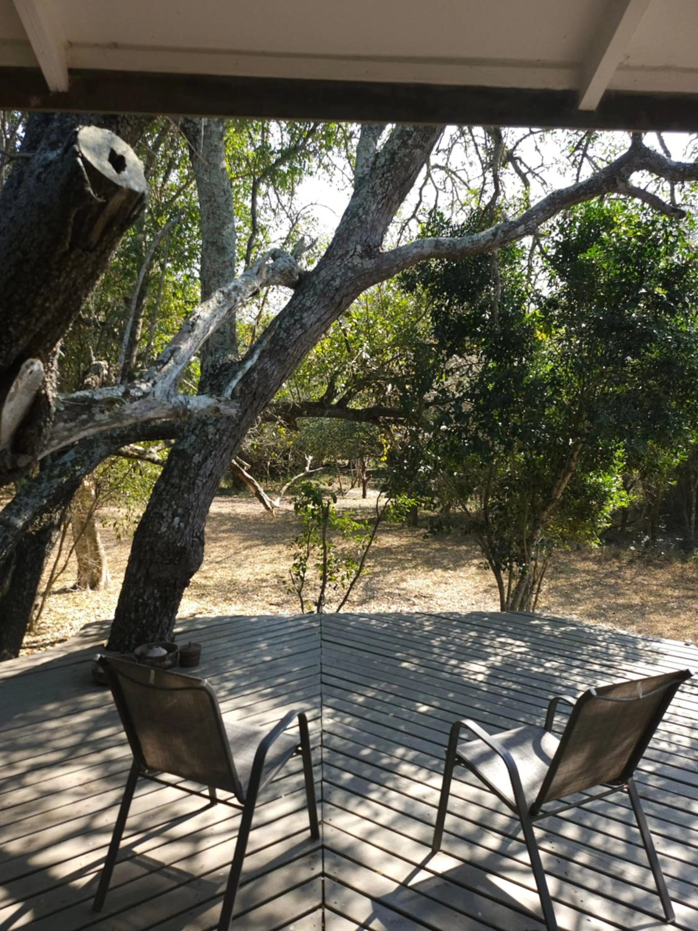 Garden view in Thornwood