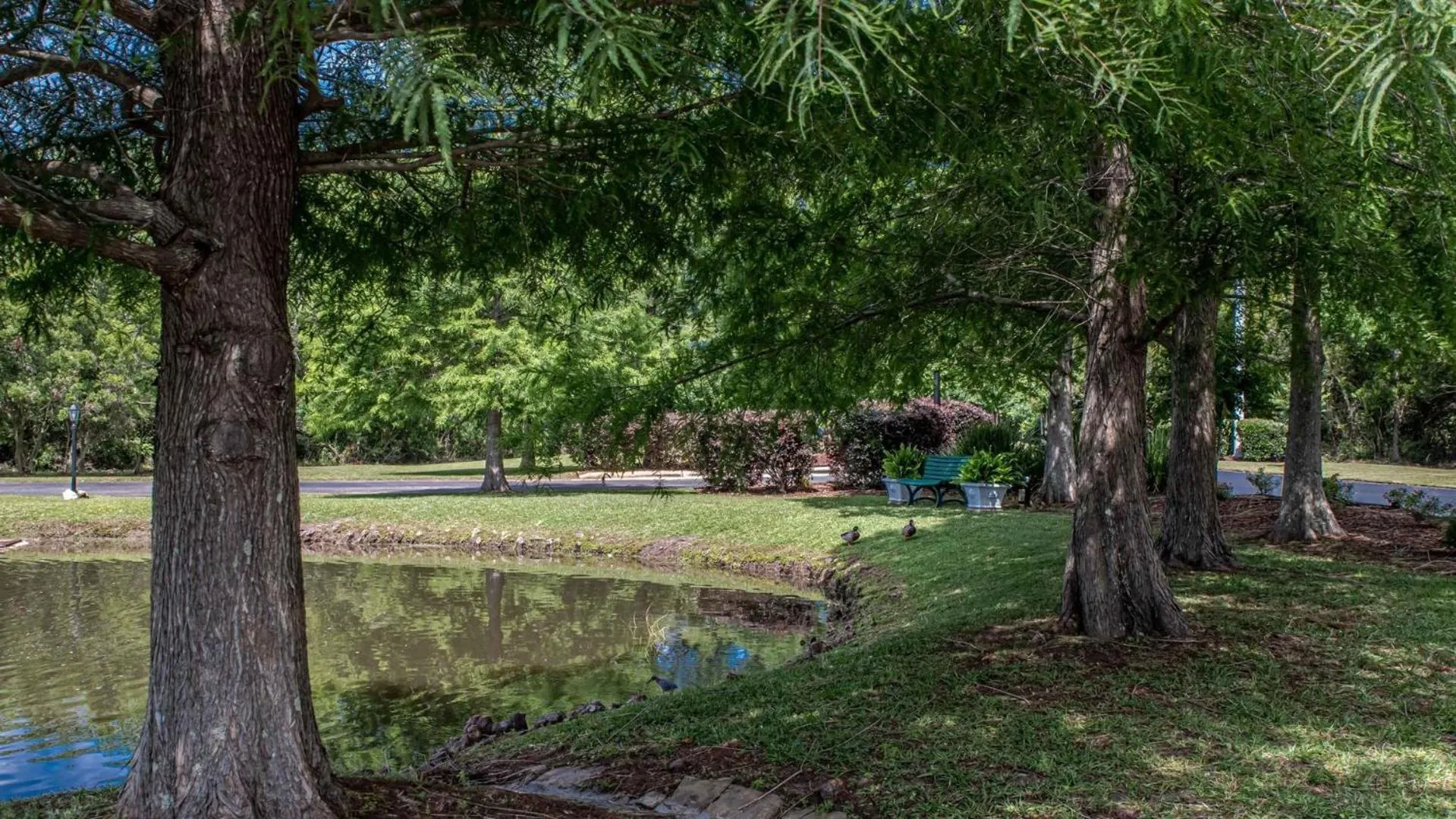 2br/2ba Full Condo w/ Pool & Gym, Sleeps 6